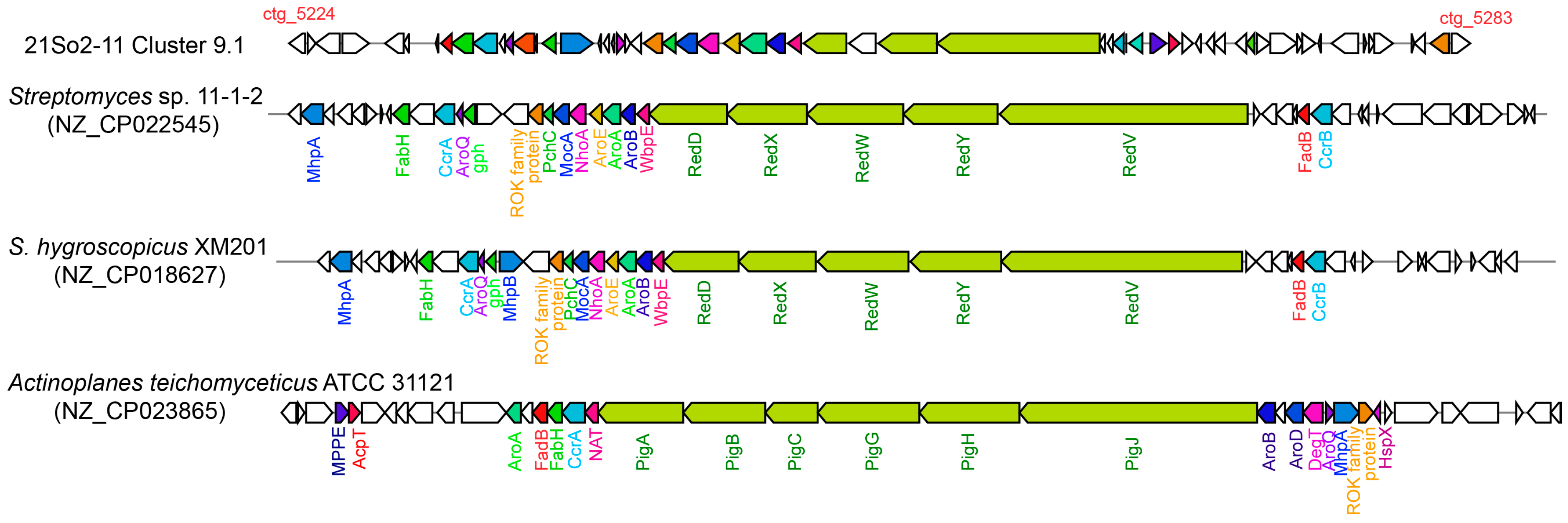 Microorganisms 12 01228 g004