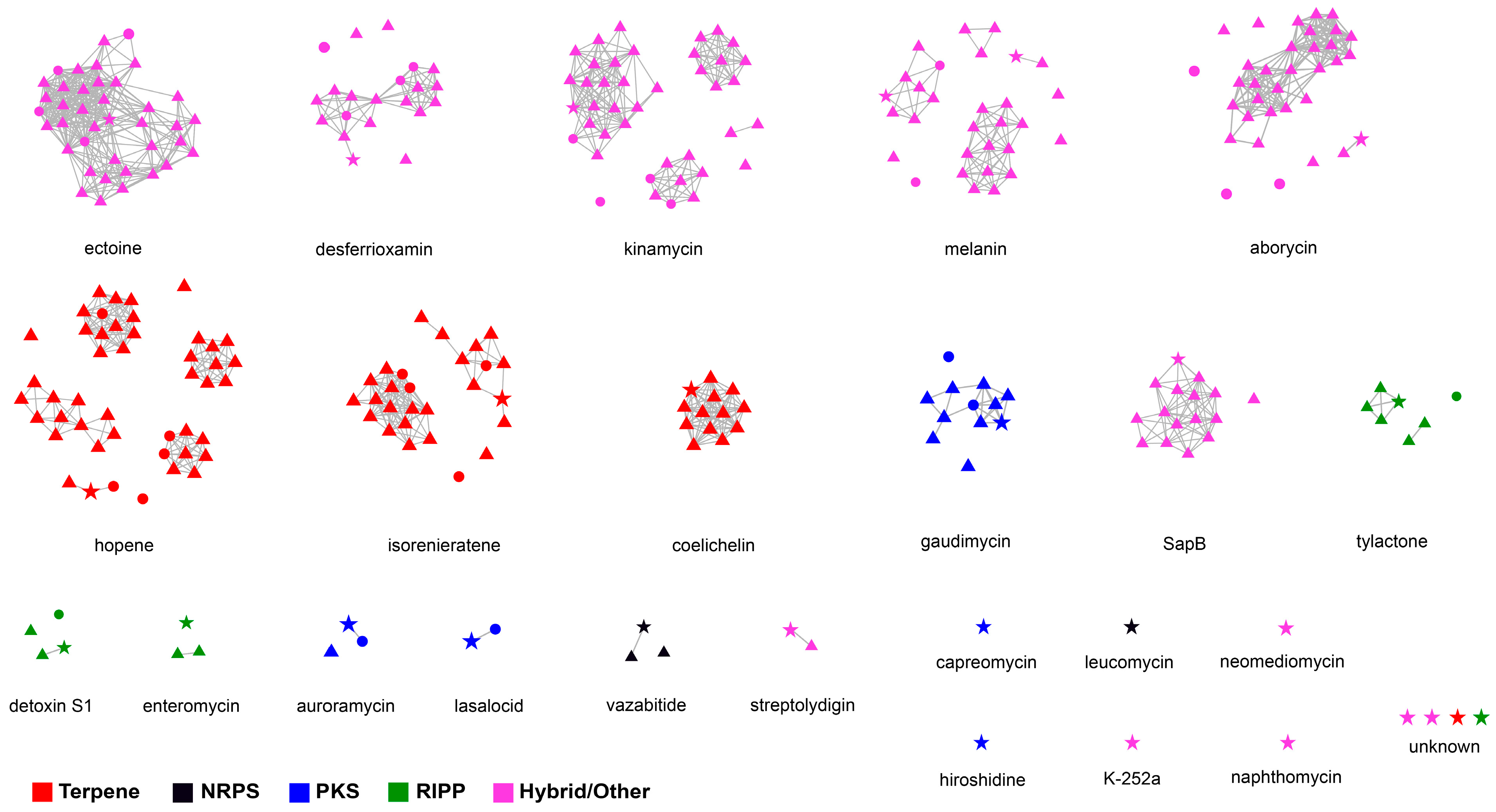 Microorganisms 12 01228 g006