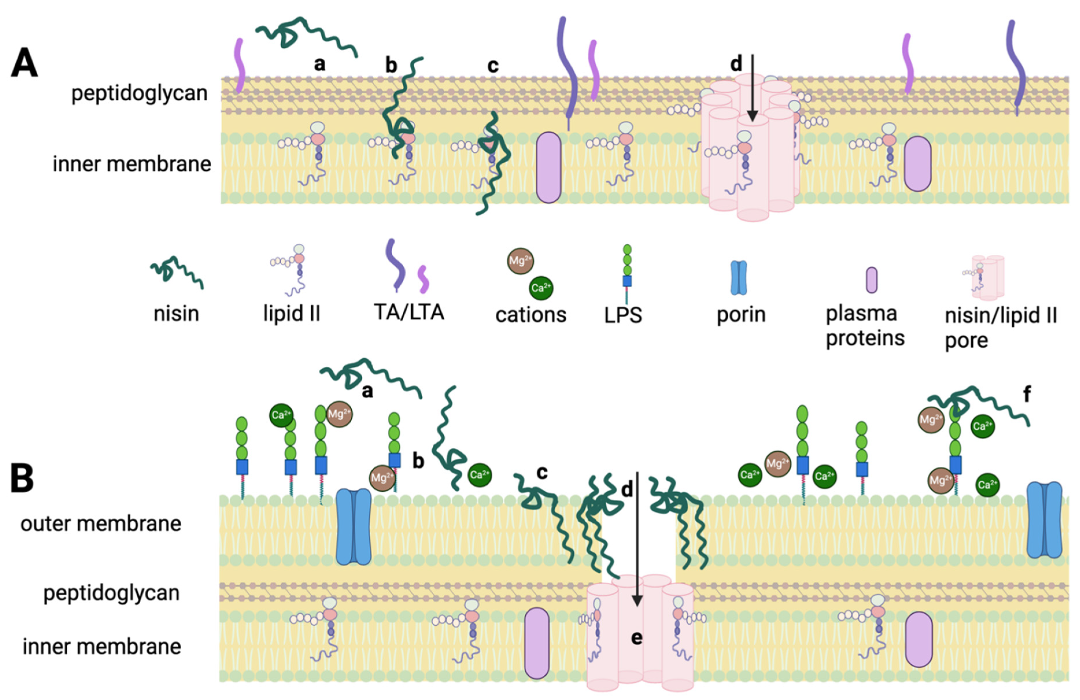 Microorganisms 12 01230 g001