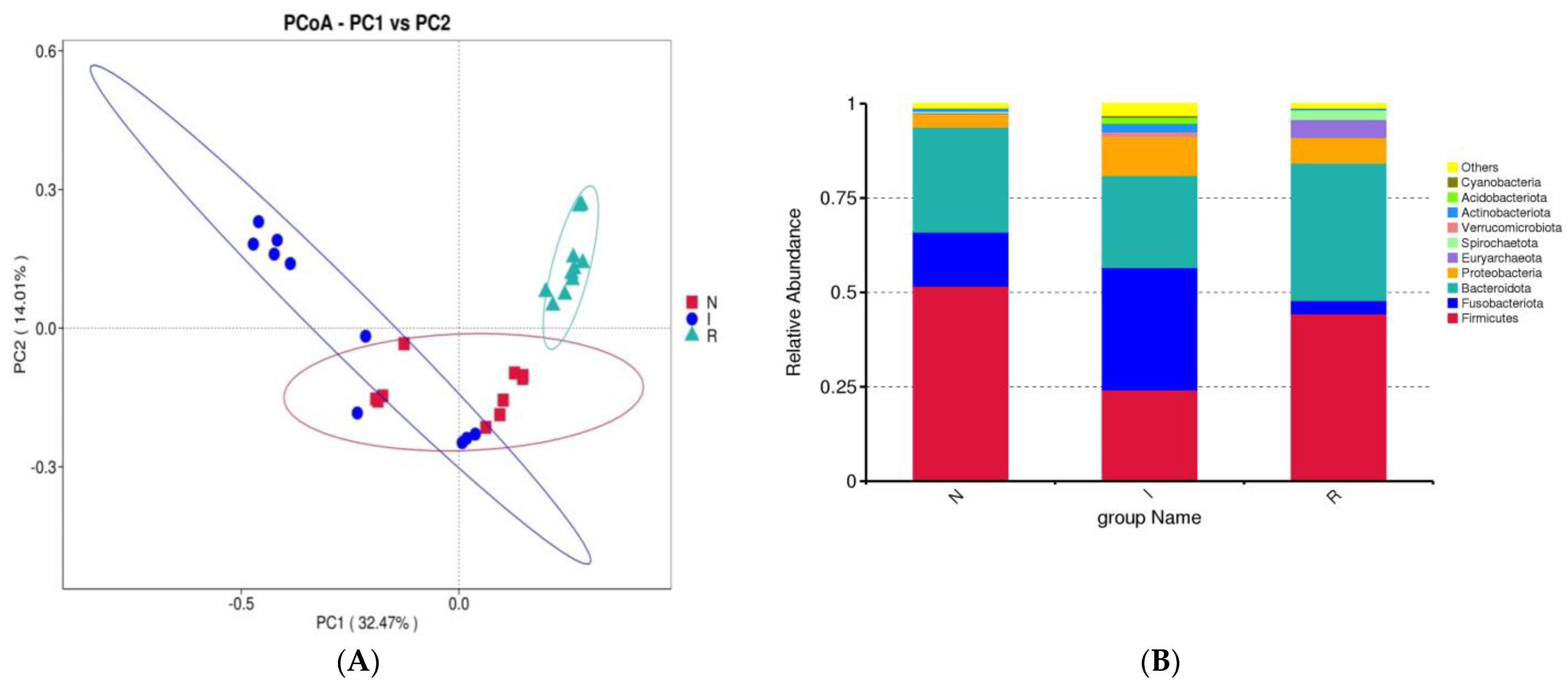 Microorganisms 12 01233 g003a