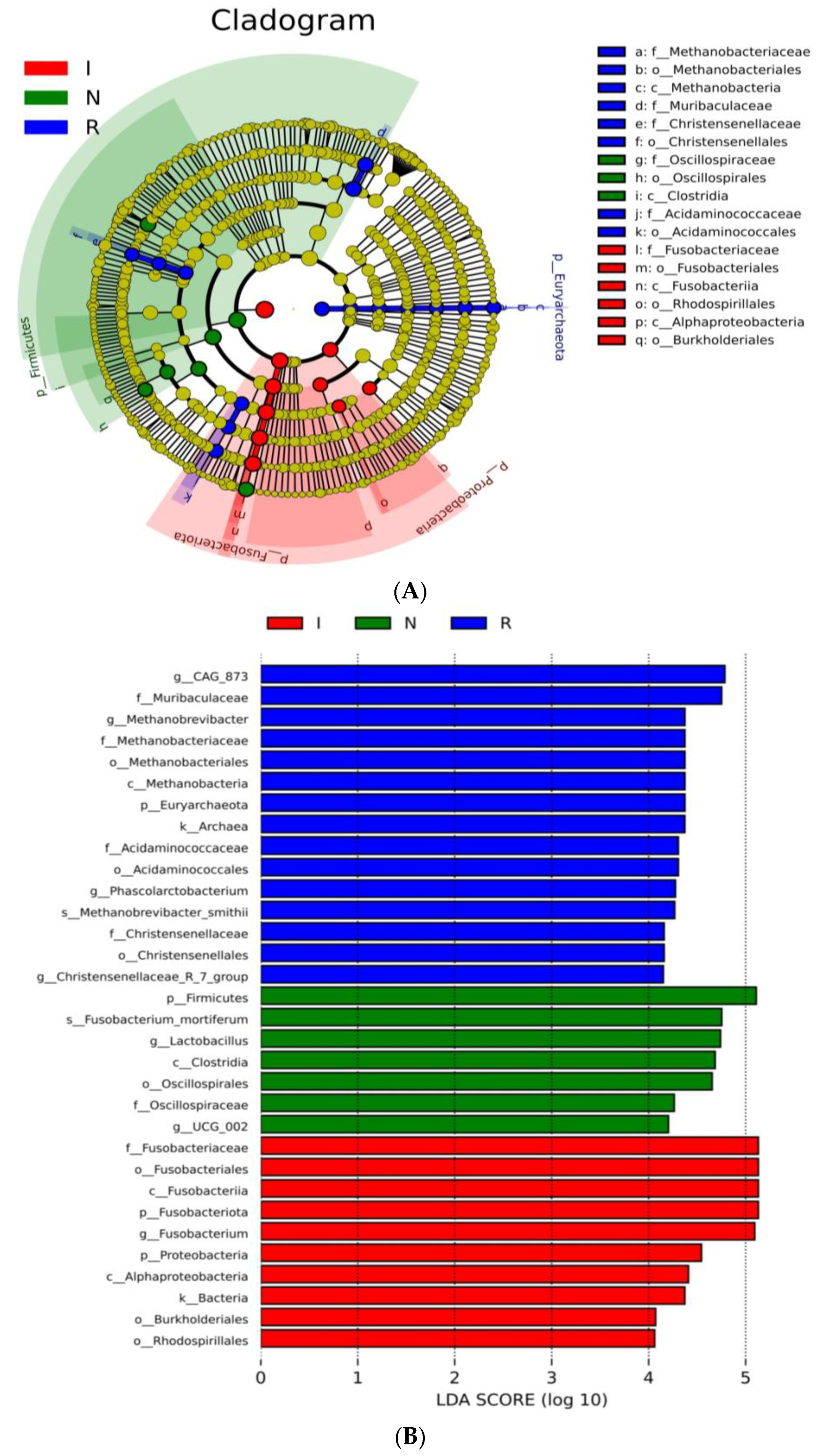 Microorganisms 12 01233 g004