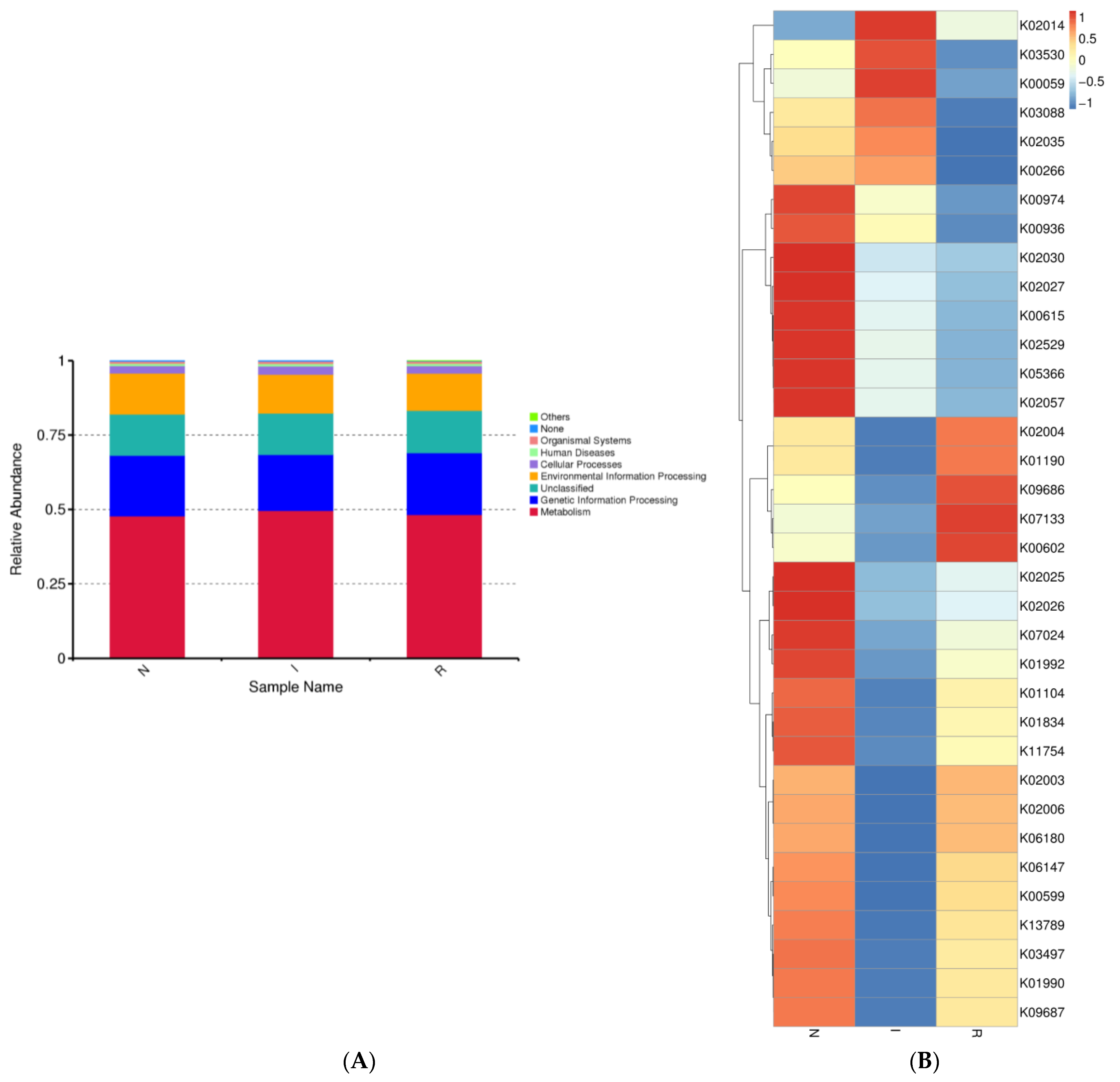 Microorganisms 12 01233 g005