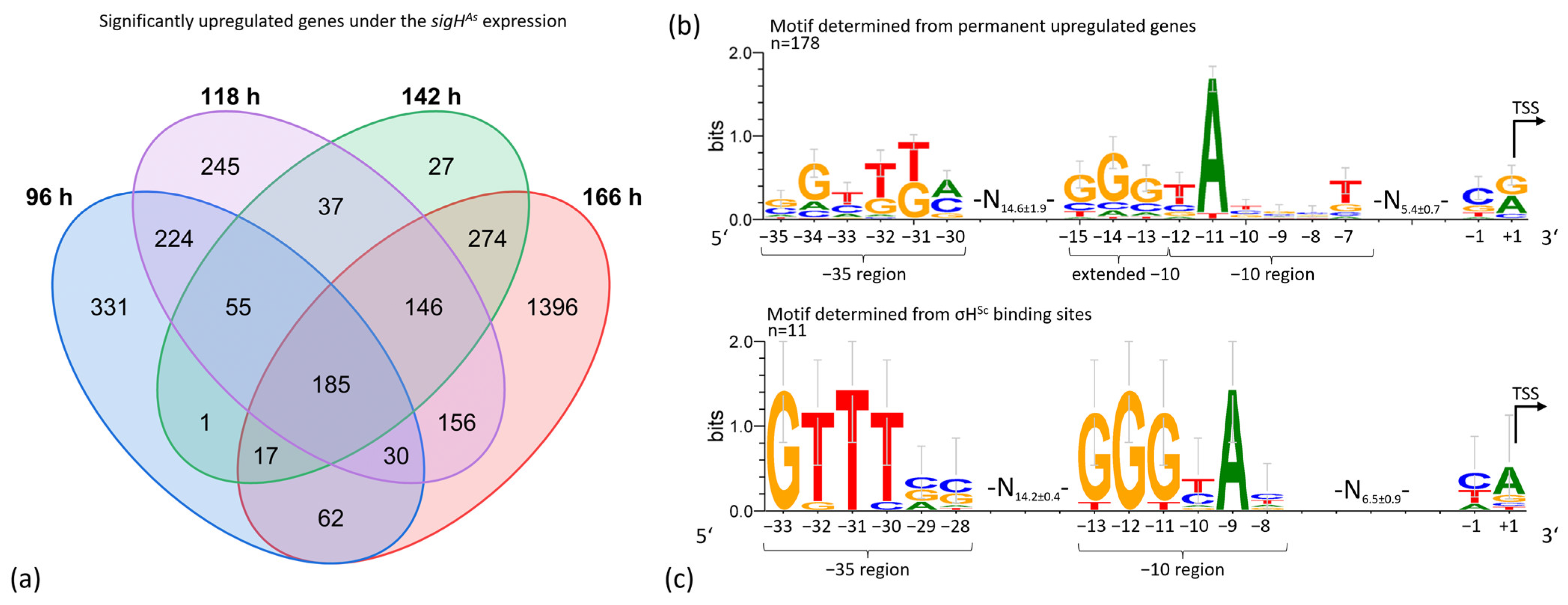 Microorganisms 12 01241 g006