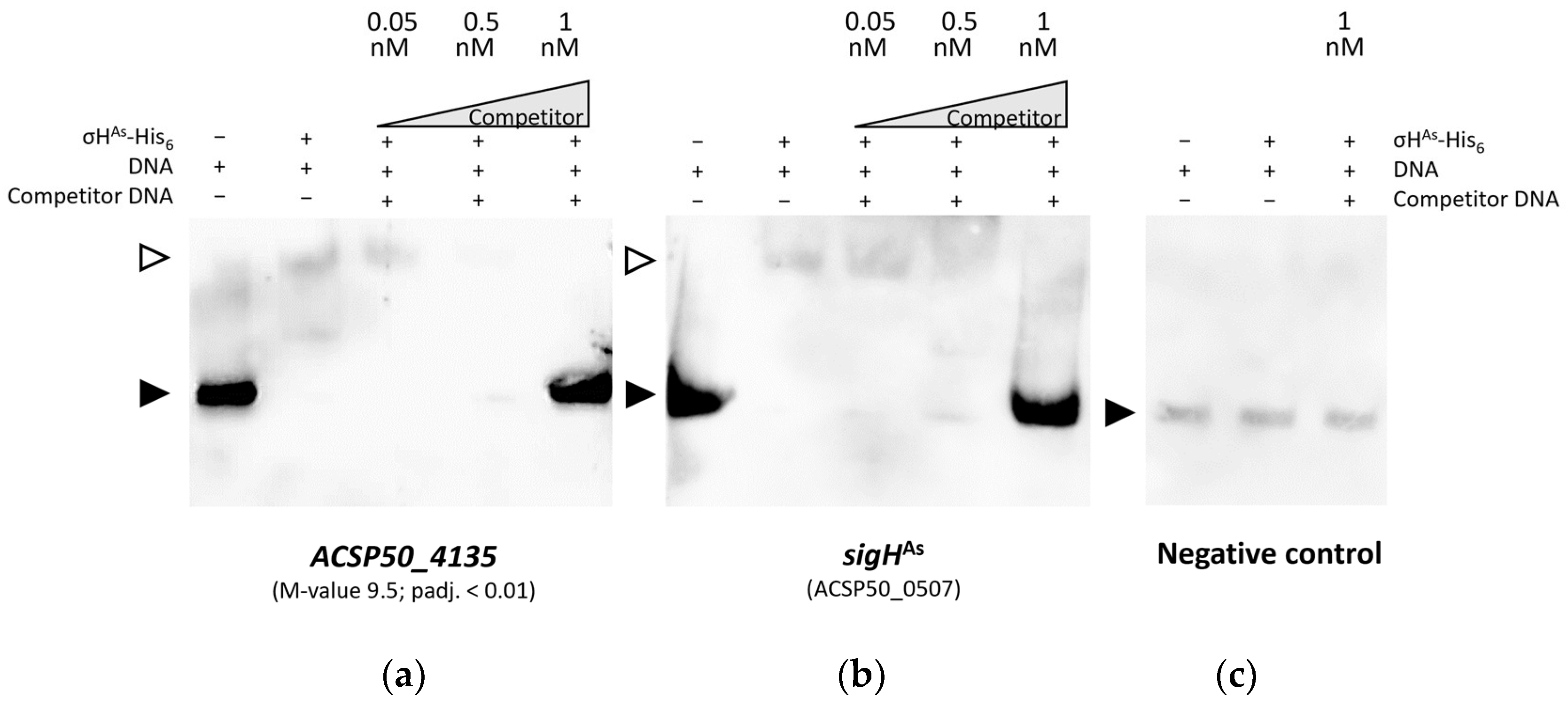 Microorganisms 12 01241 g007