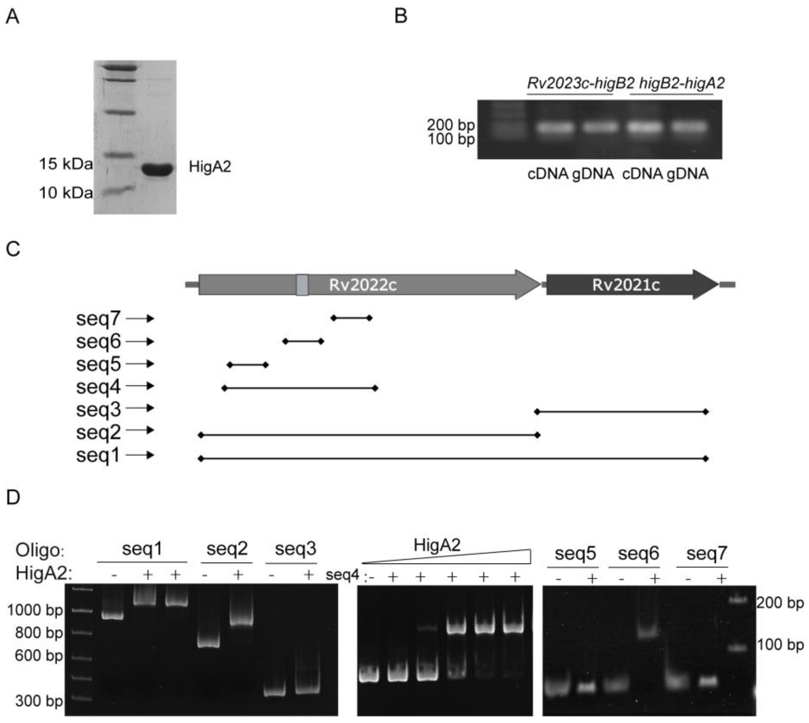 Microorganisms 12 01244 g002 Microorganisms 12 01244 g002