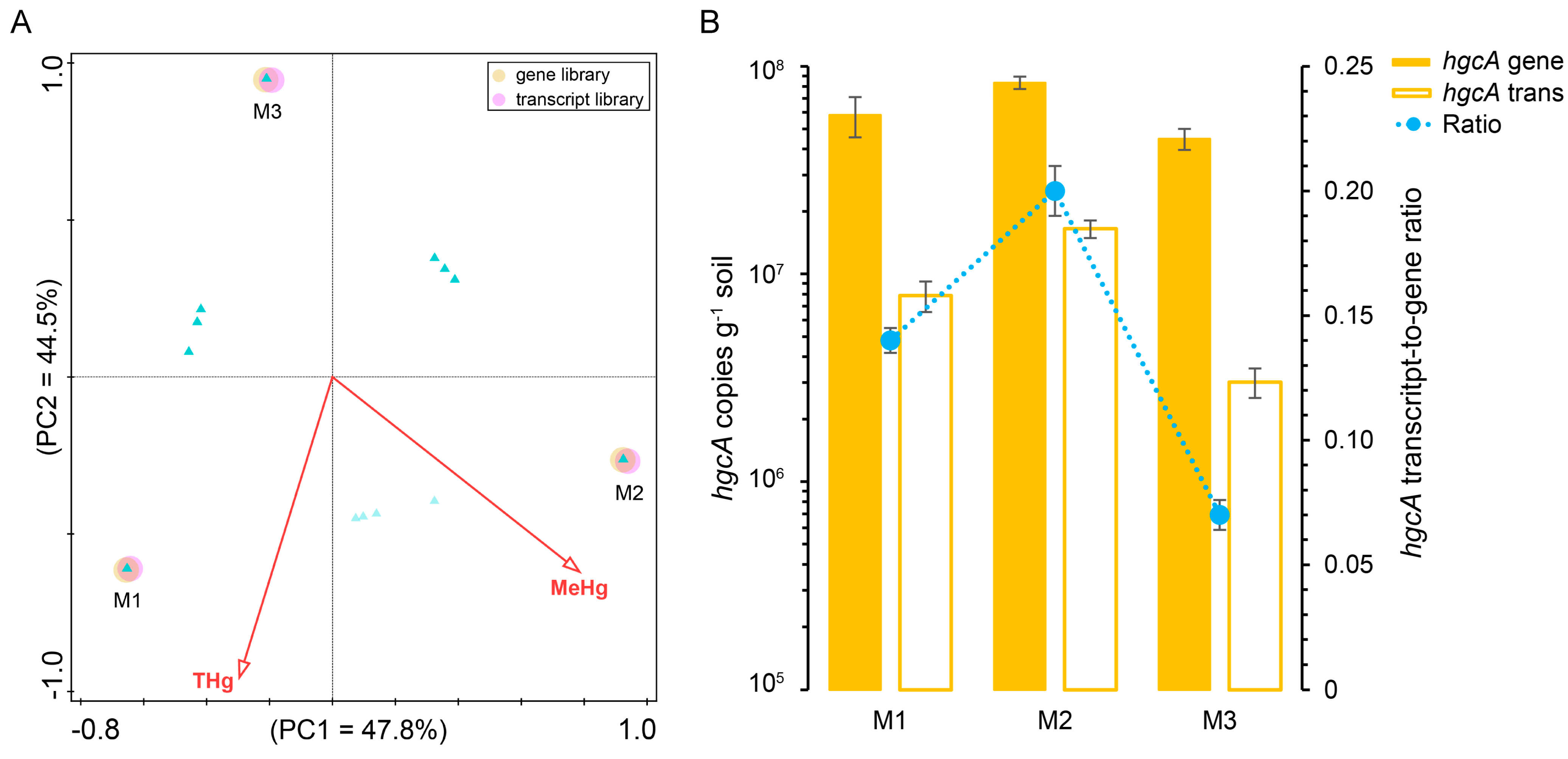 Microorganisms 12 01245 g005