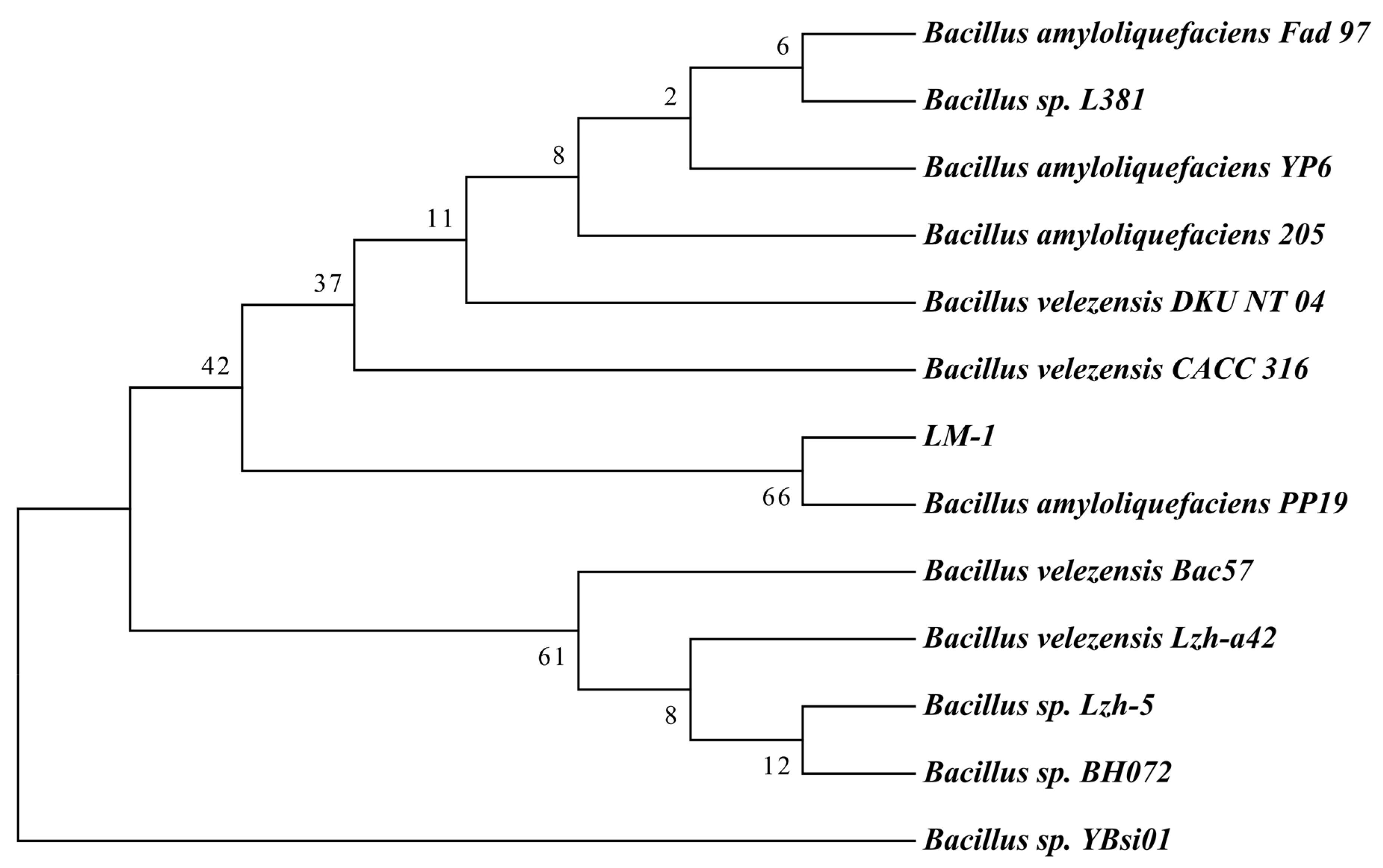 Microorganisms 12 01246 g002