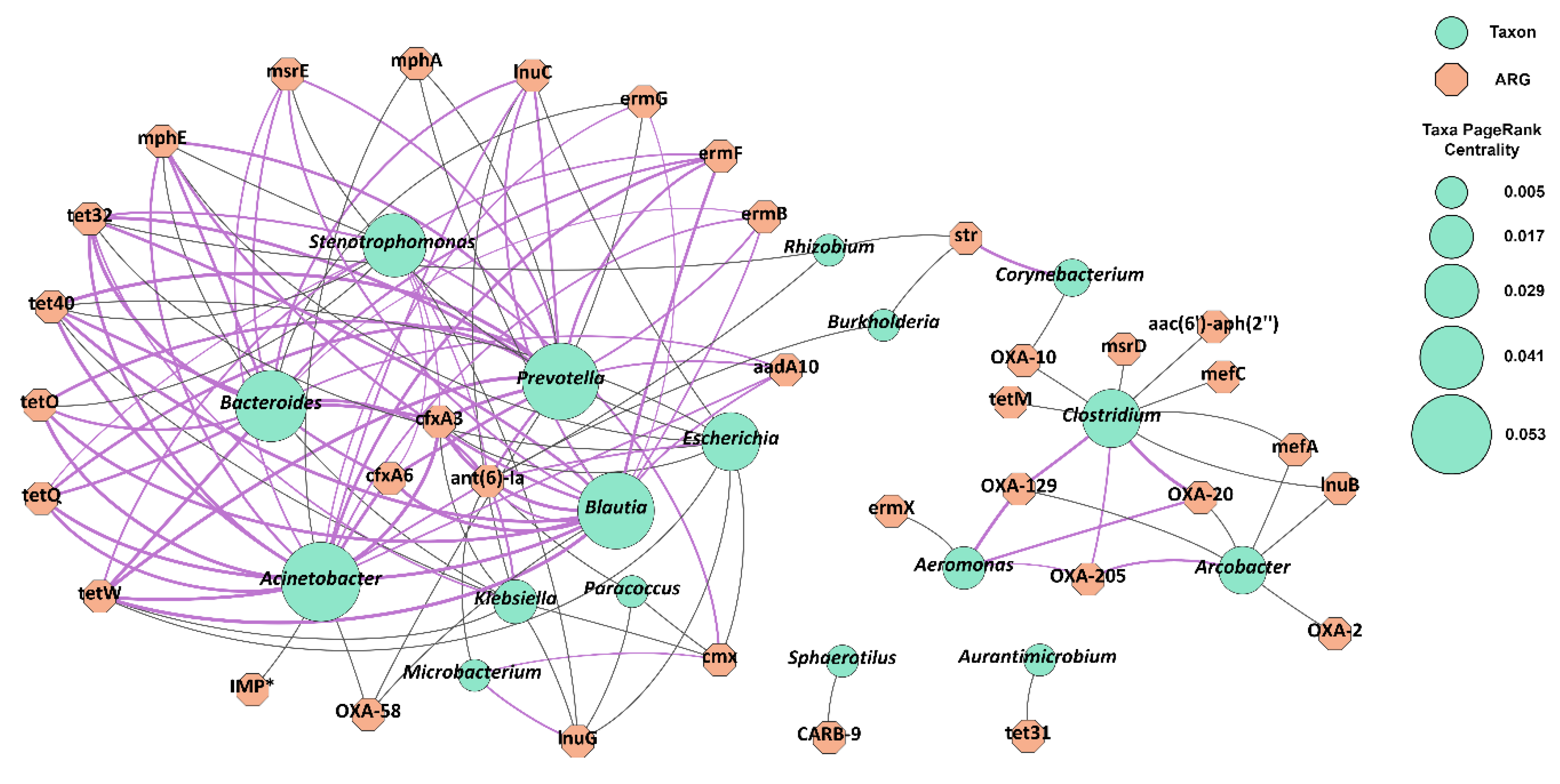 Microorganisms 12 01250 g007 Microorganisms 12 01250 g007