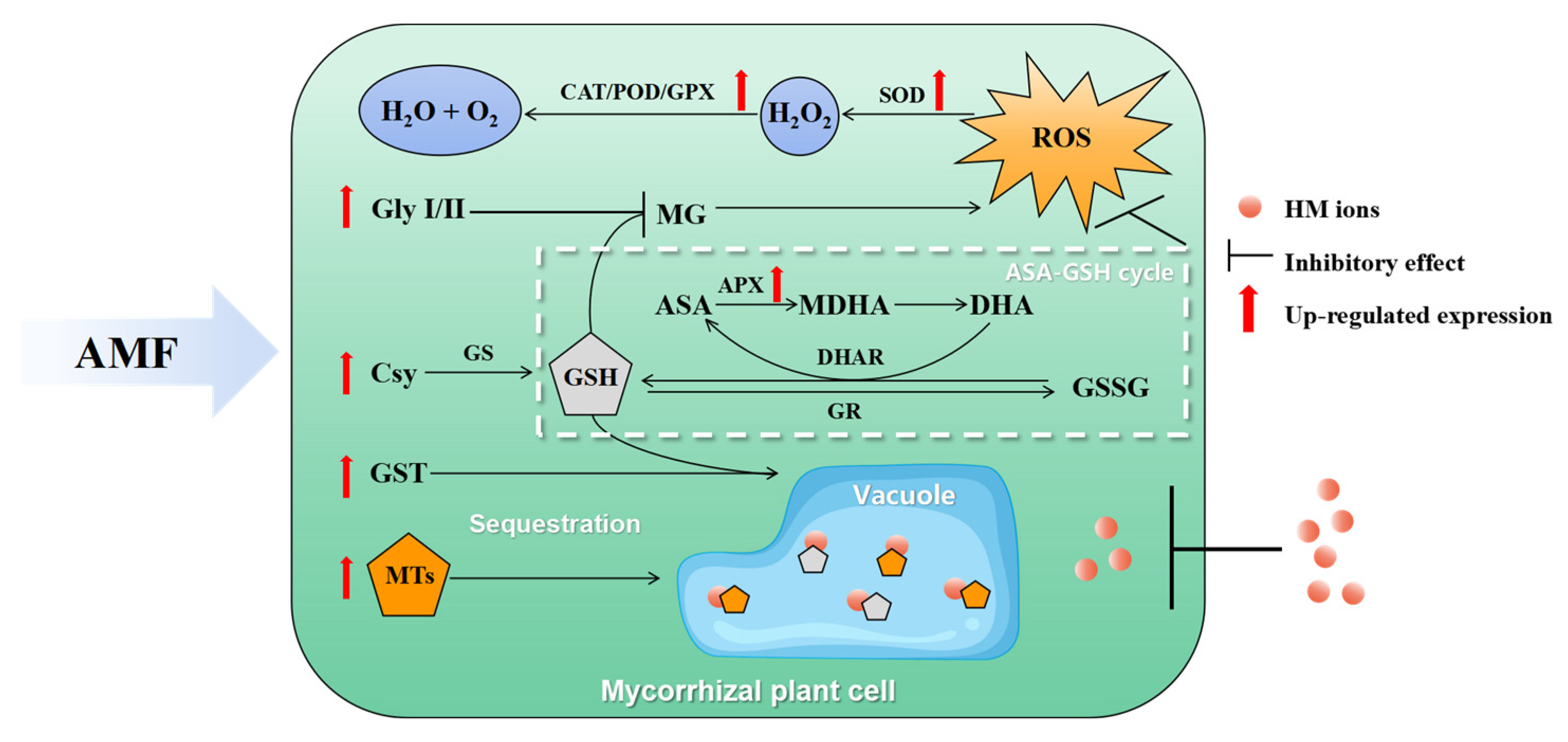 Microorganisms 12 01255 g005