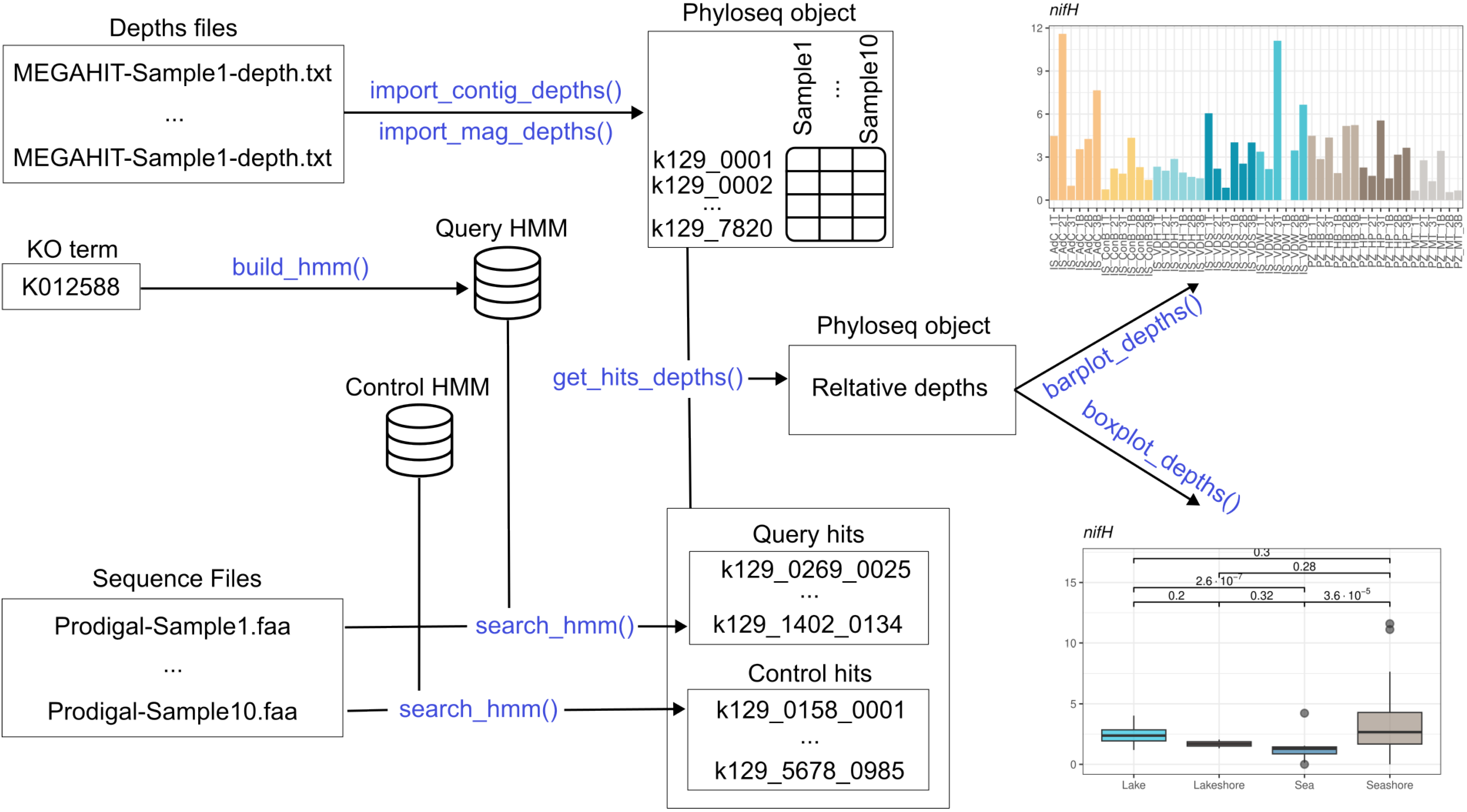 Microorganisms 12 01264 g001