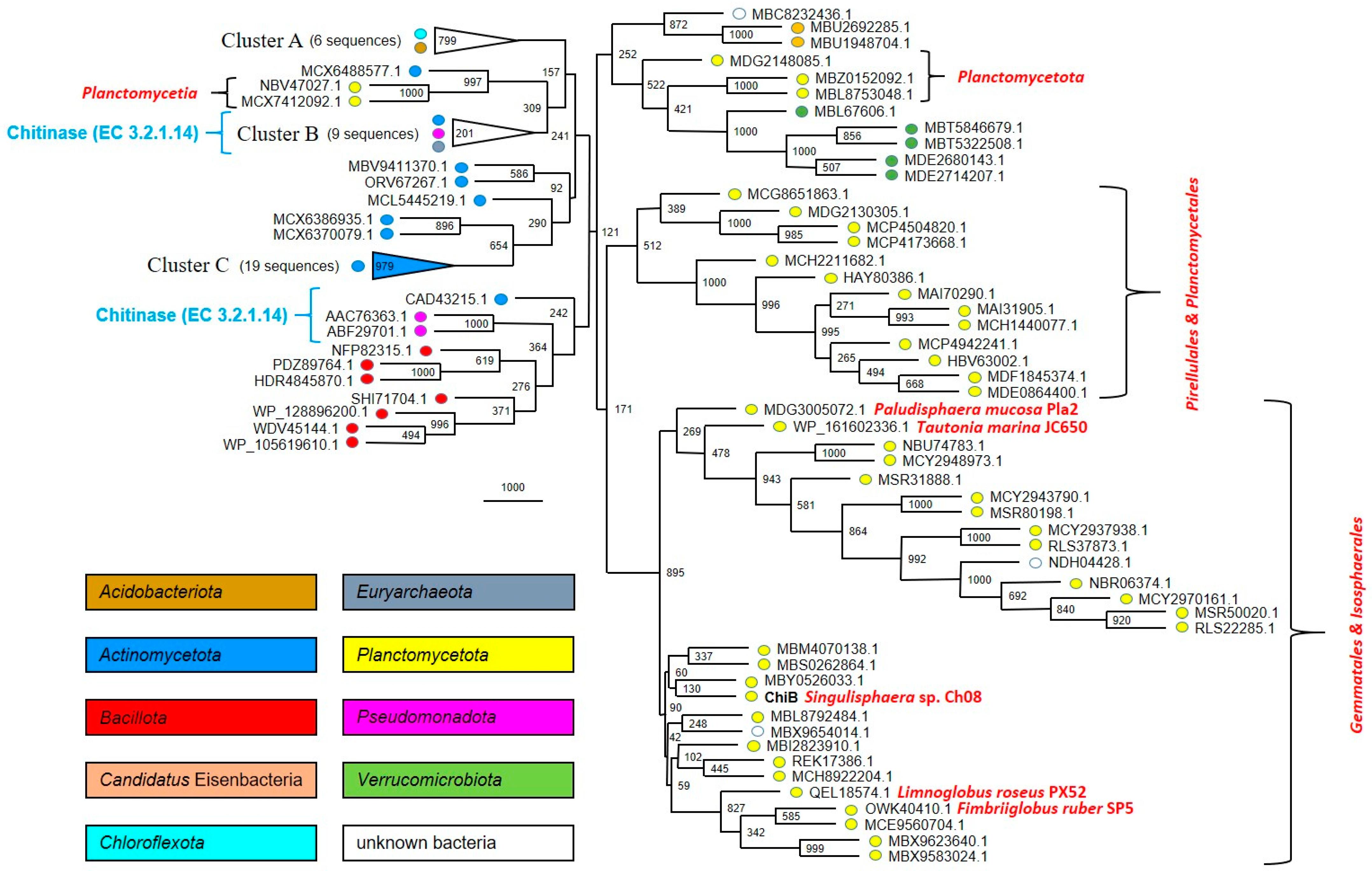 Microorganisms 12 01266 g004