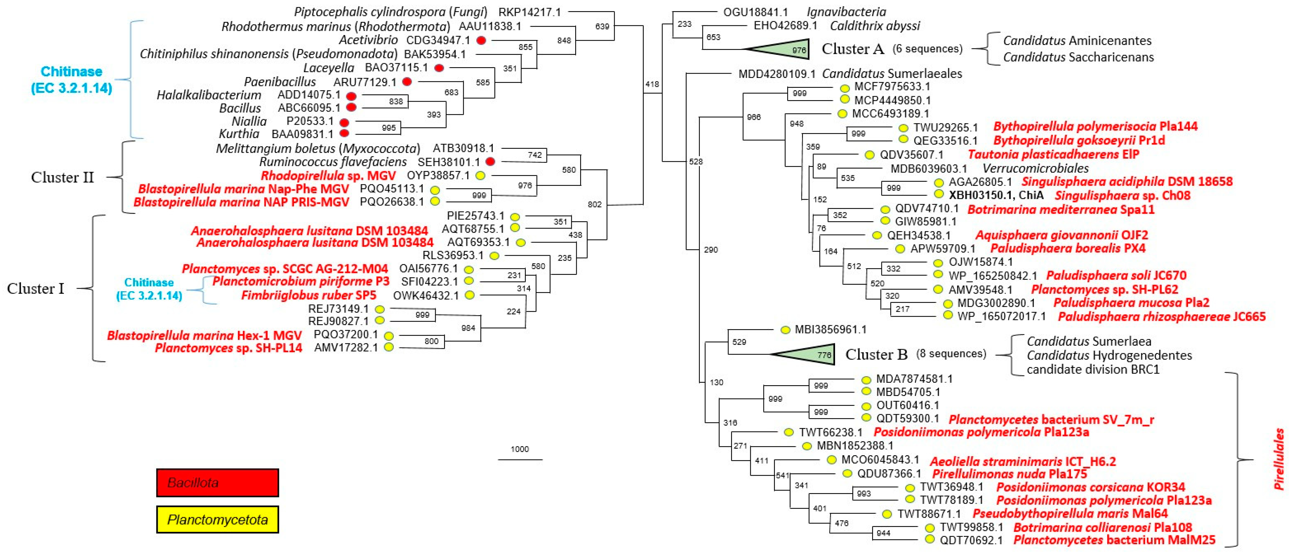 Microorganisms 12 01266 g005