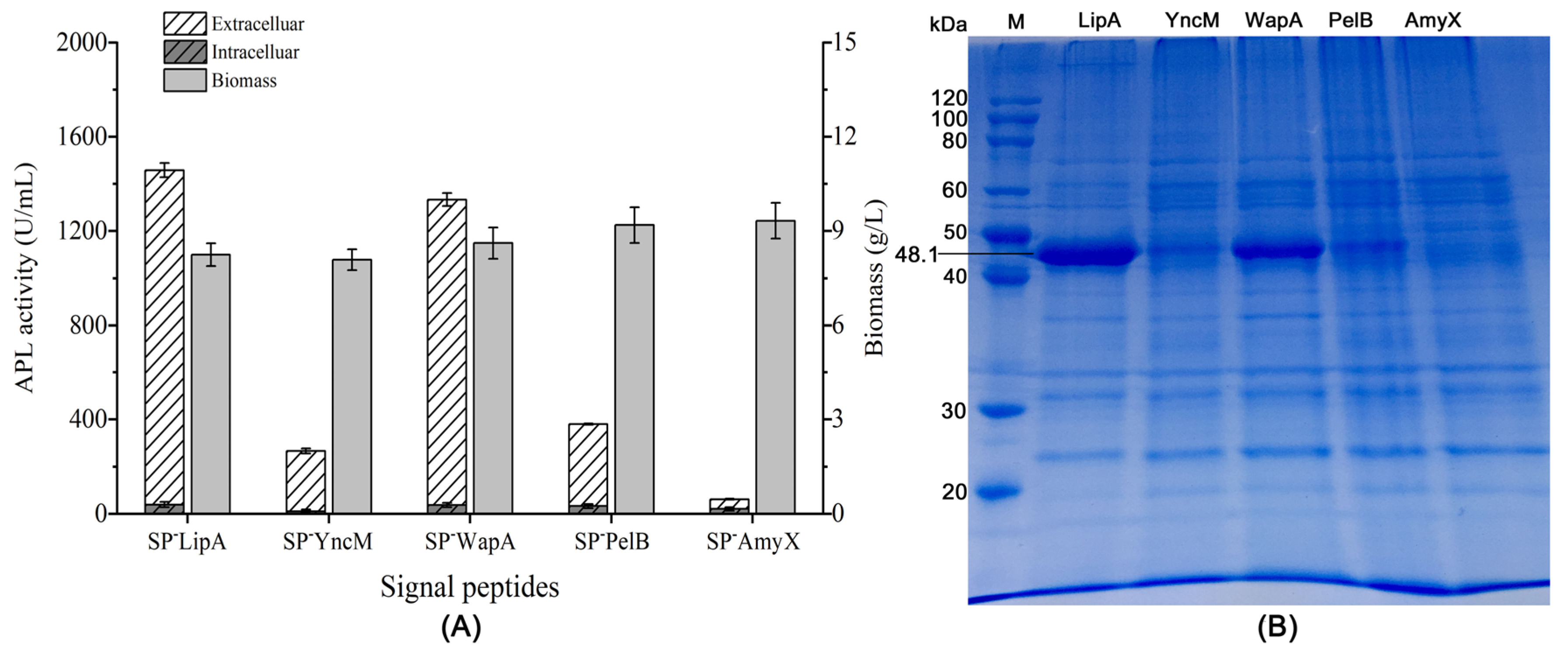 Microorganisms 12 01275 g001