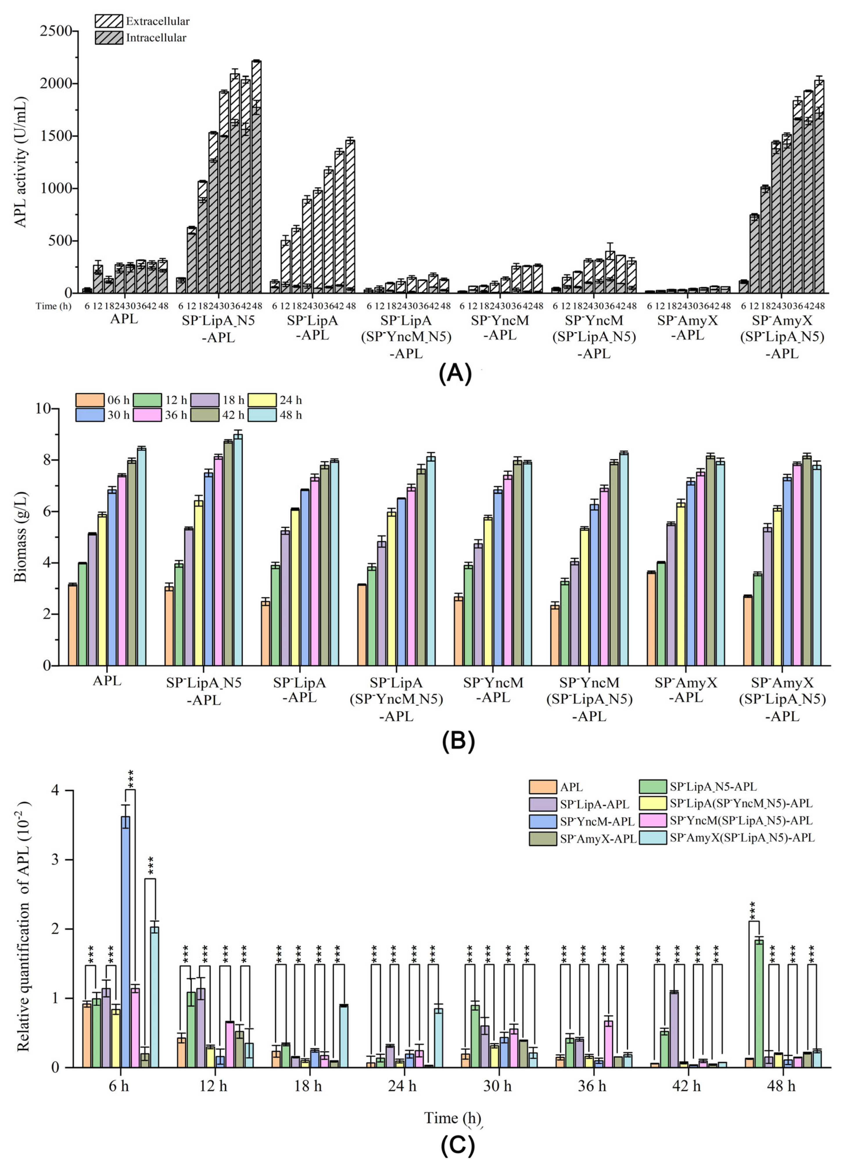 Microorganisms 12 01275 g005