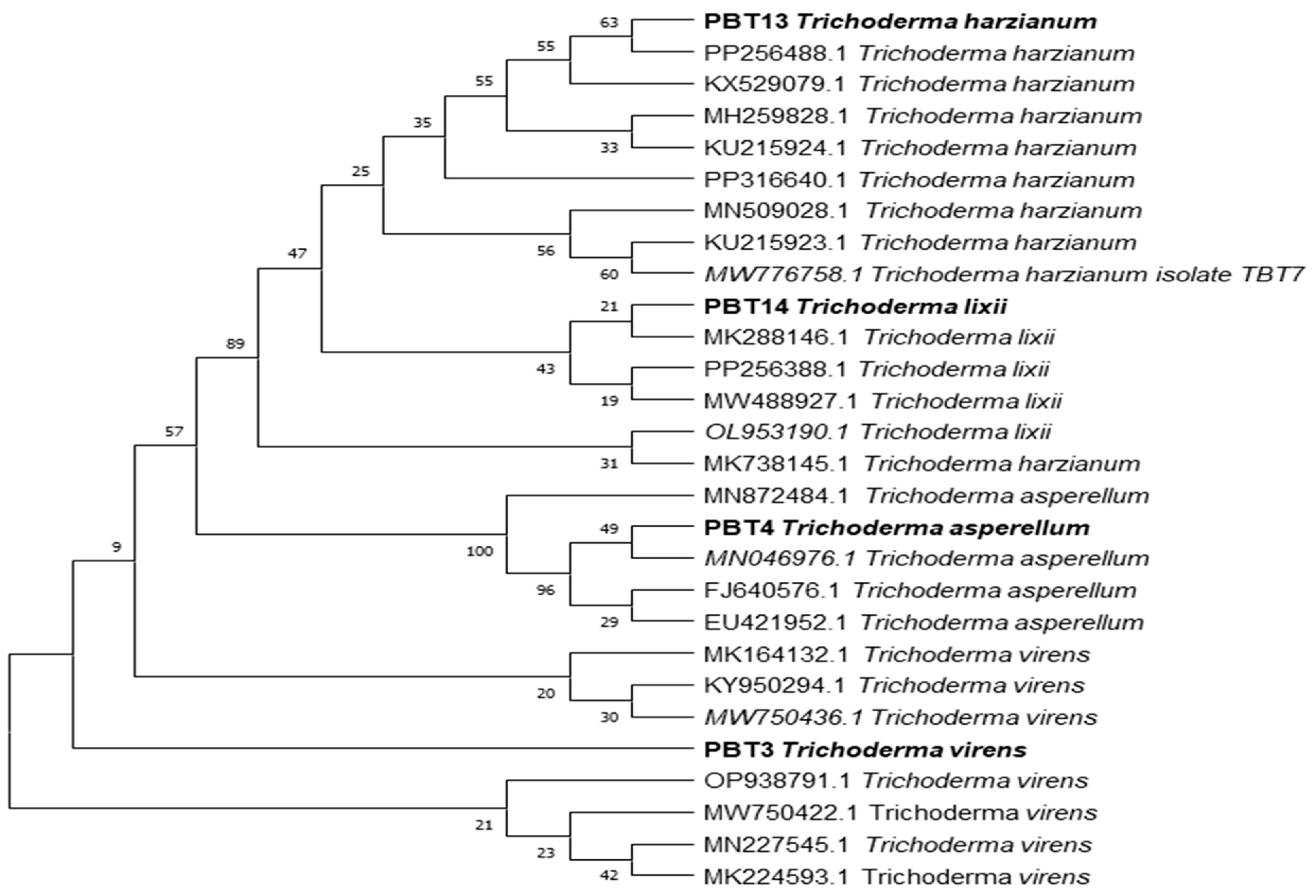 Microorganisms 12 01280 g004
