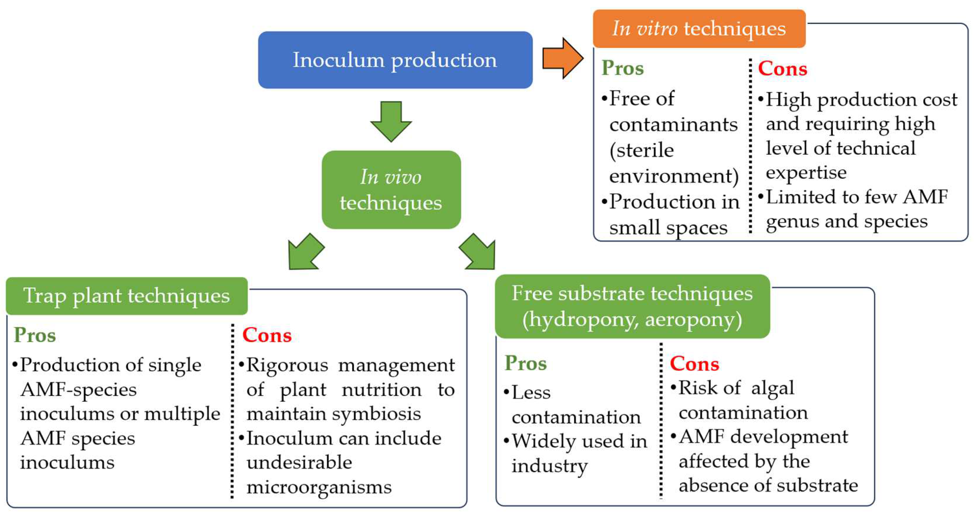 Microorganisms 12 01281 g003