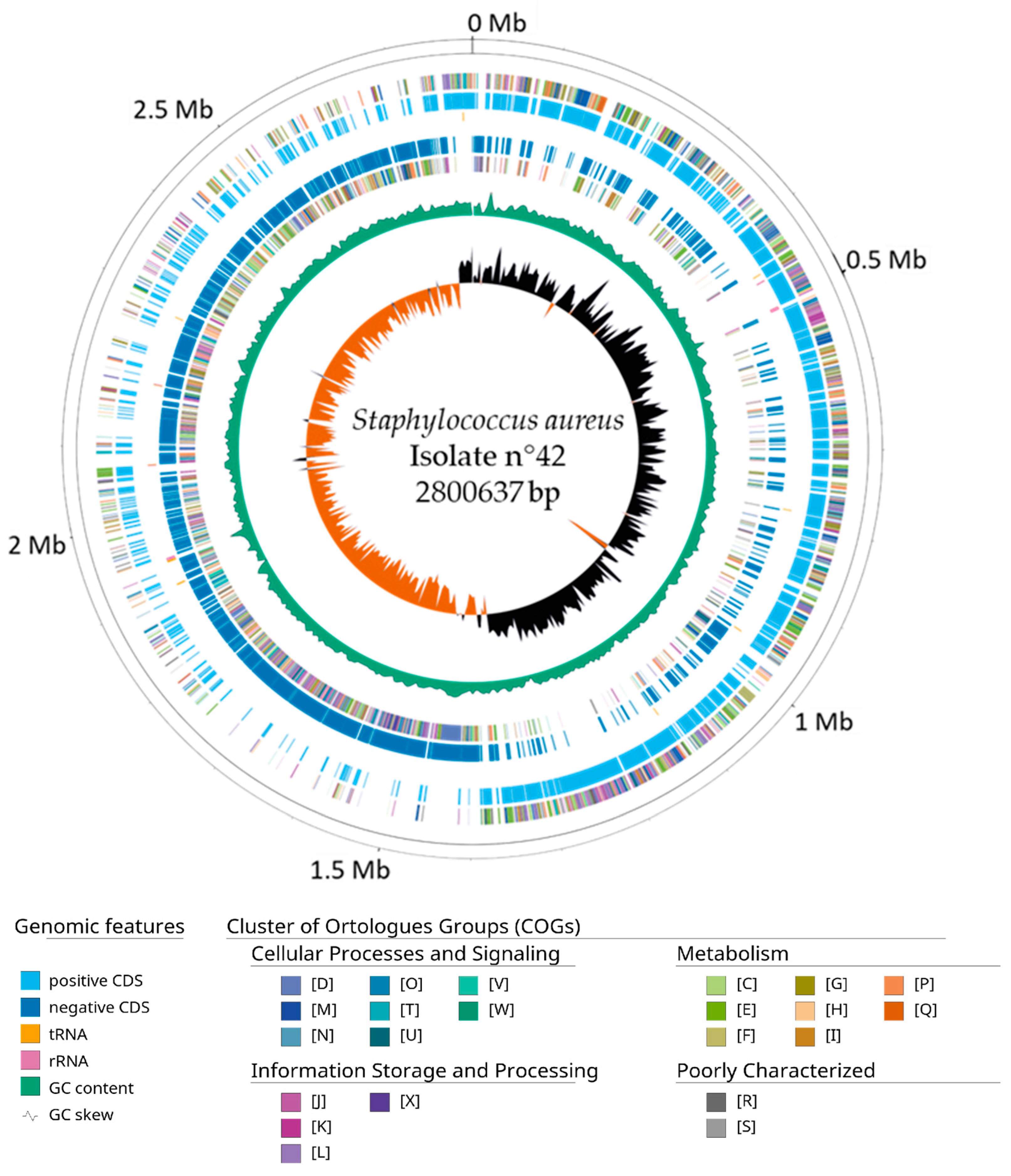 Microorganisms 12 01284 g002