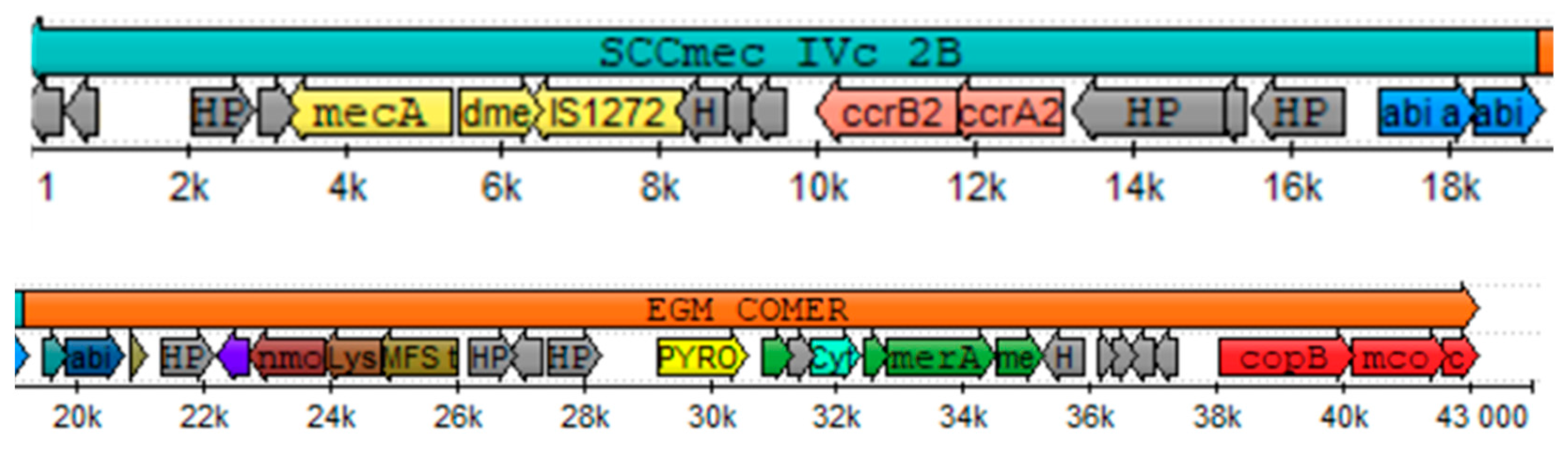 Microorganisms 12 01284 g003