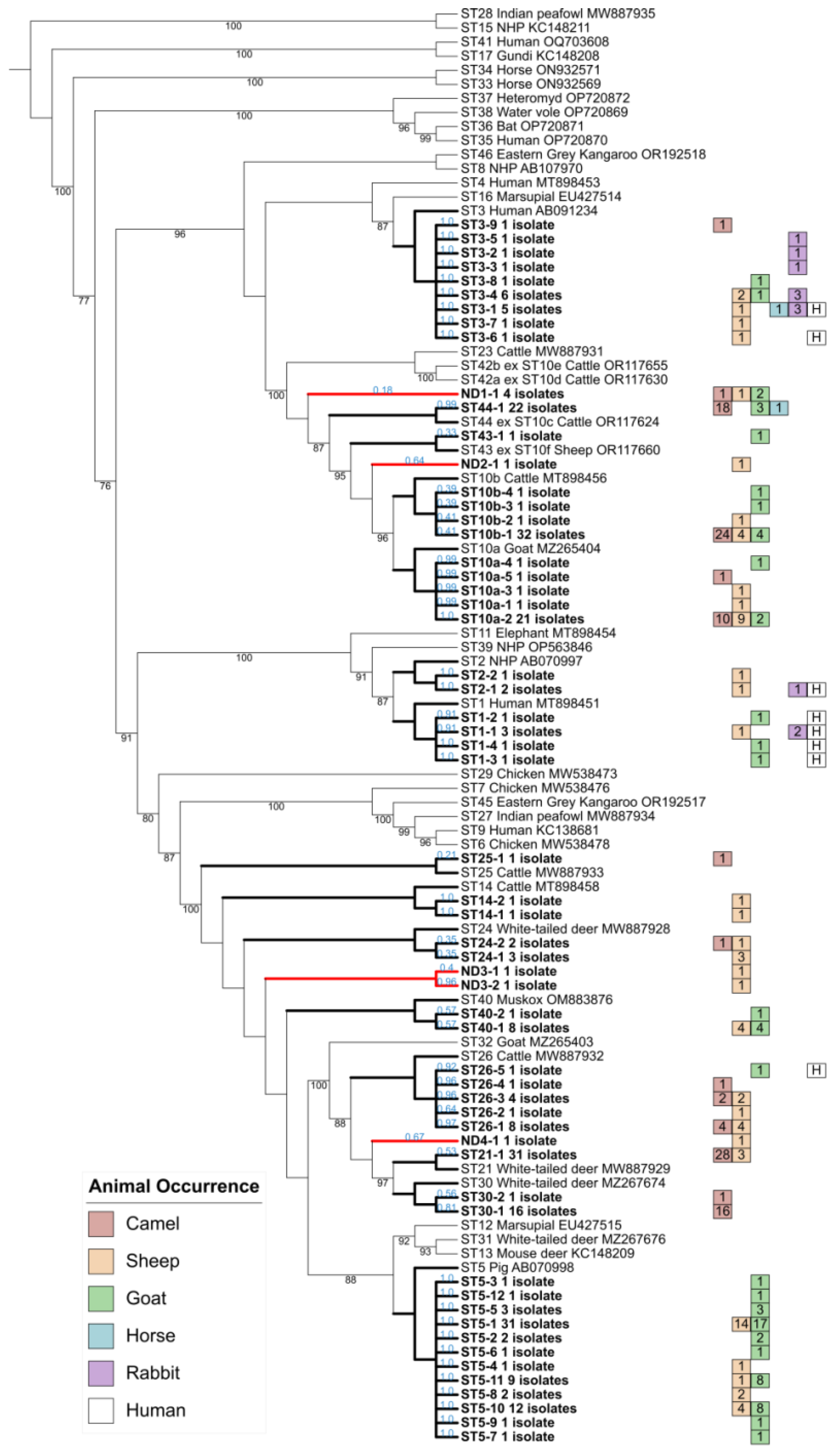 Microorganisms 12 01286 g002