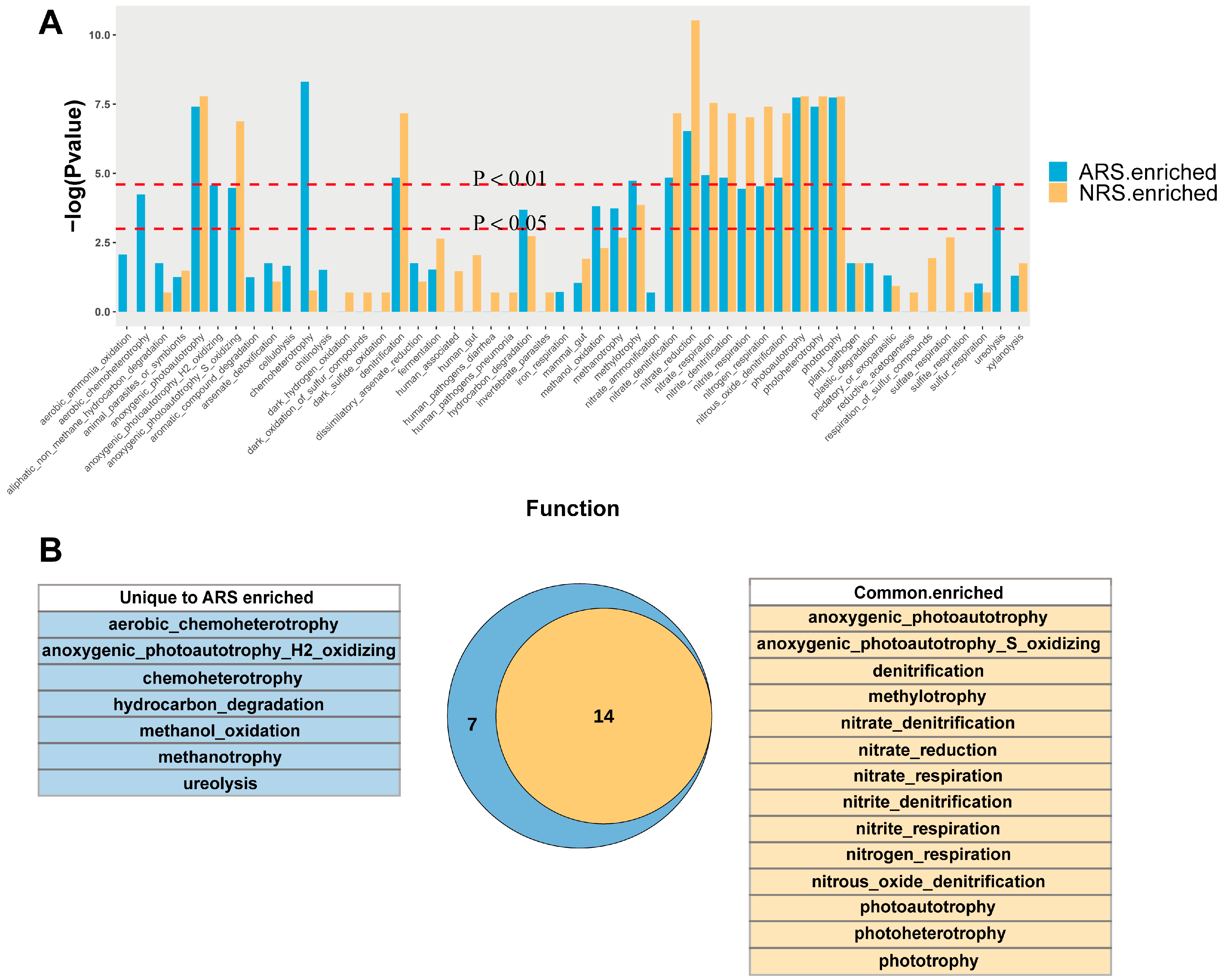 Microorganisms 12 01287 g005