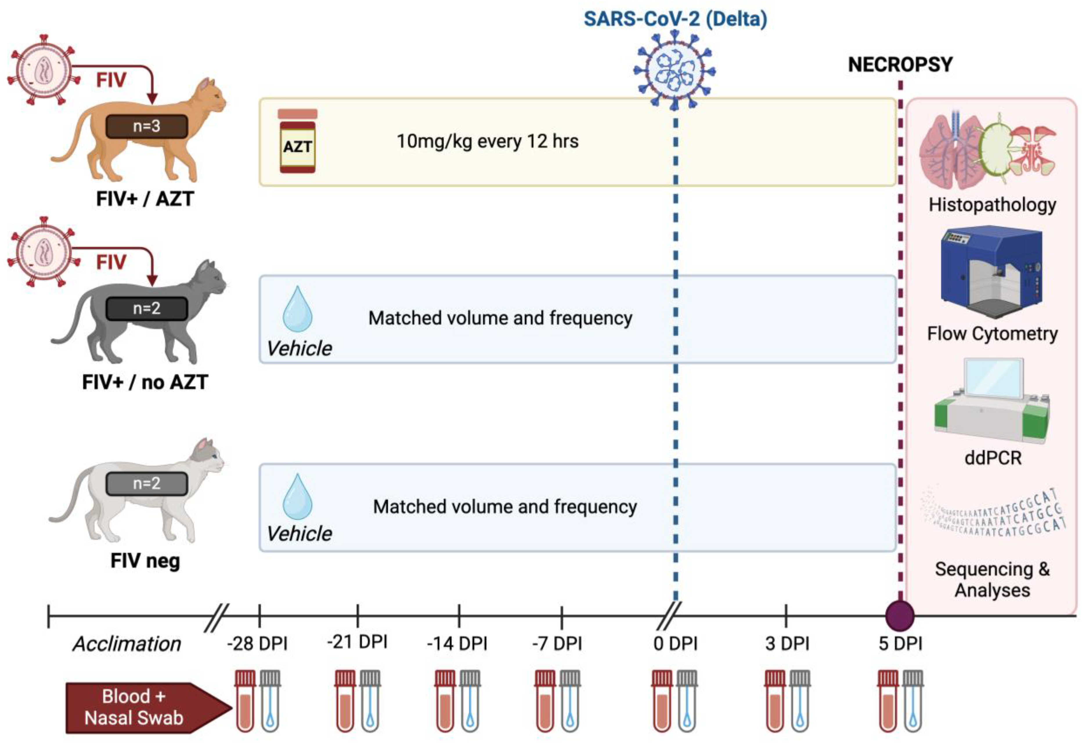 Microorganisms 12 01289 g001