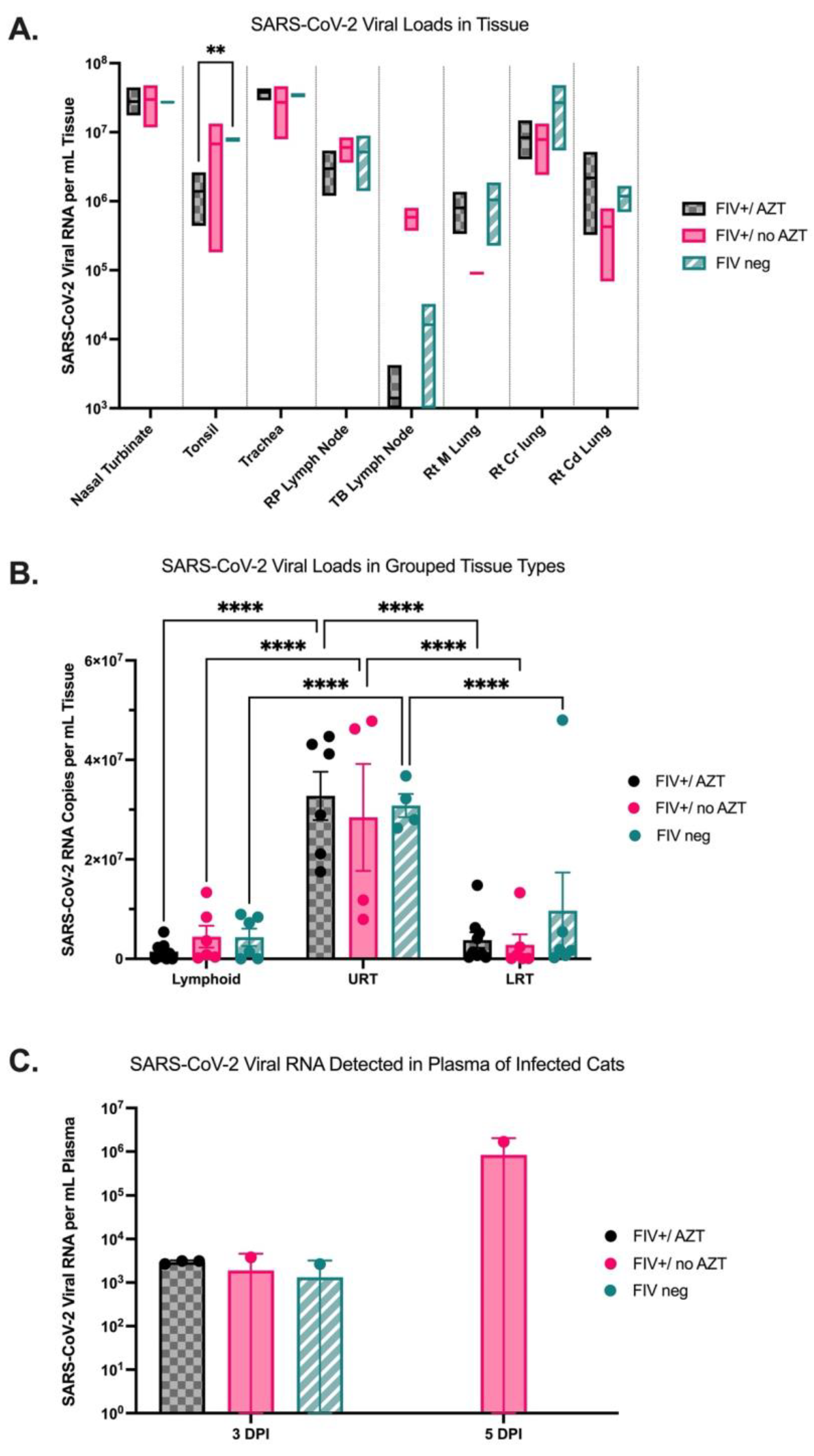 Microorganisms 12 01289 g004