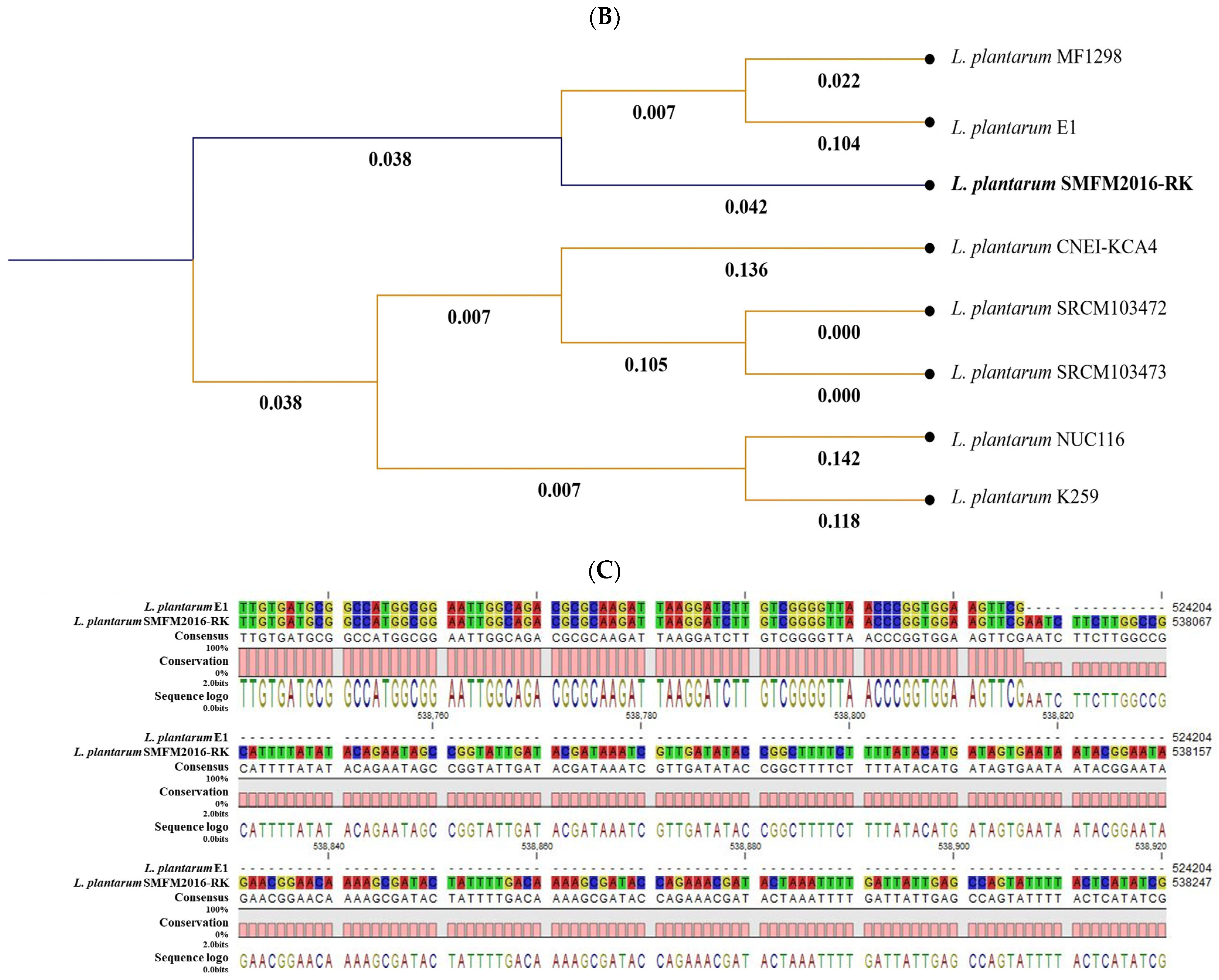 Microorganisms 12 01290 g005b
