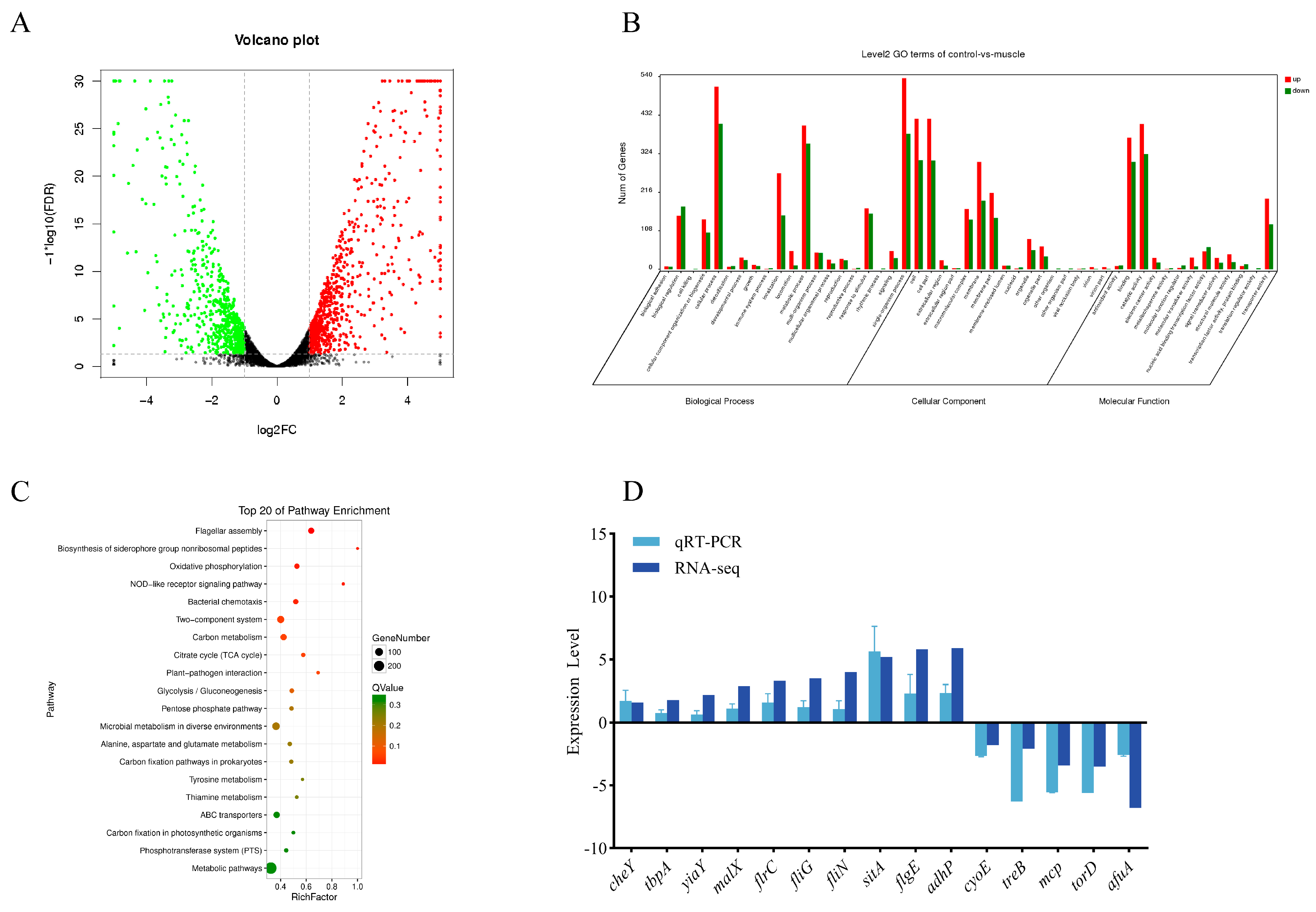 Microorganisms 12 01292 g001