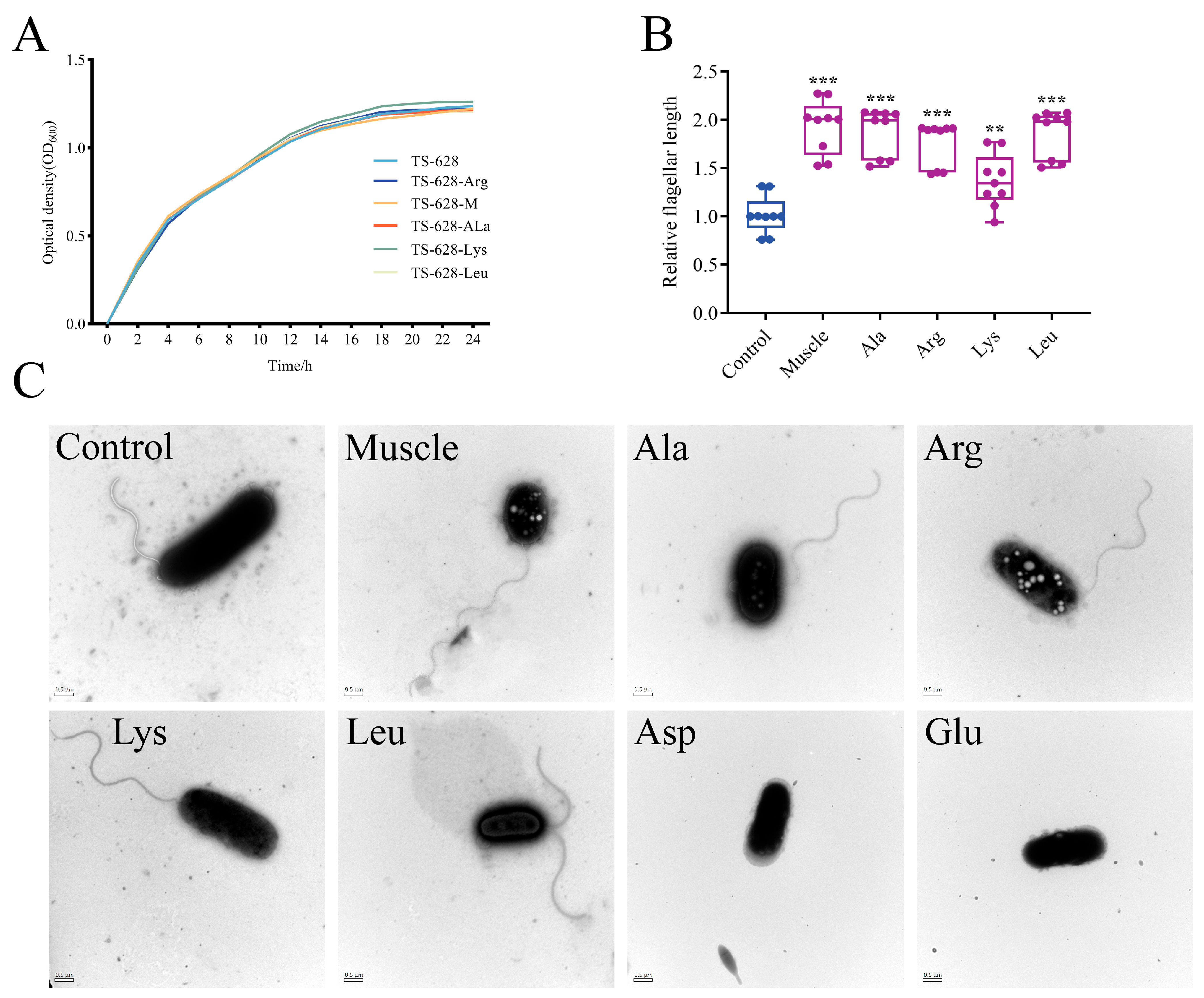 Microorganisms 12 01292 g002