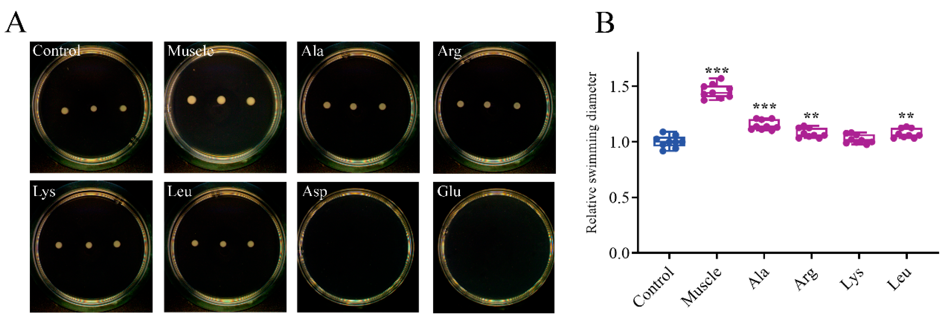 Microorganisms 12 01292 g003