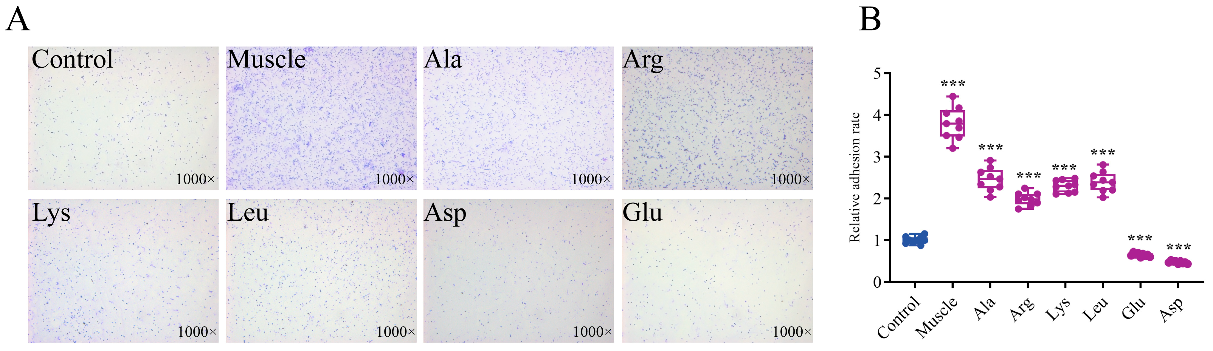 Microorganisms 12 01292 g007