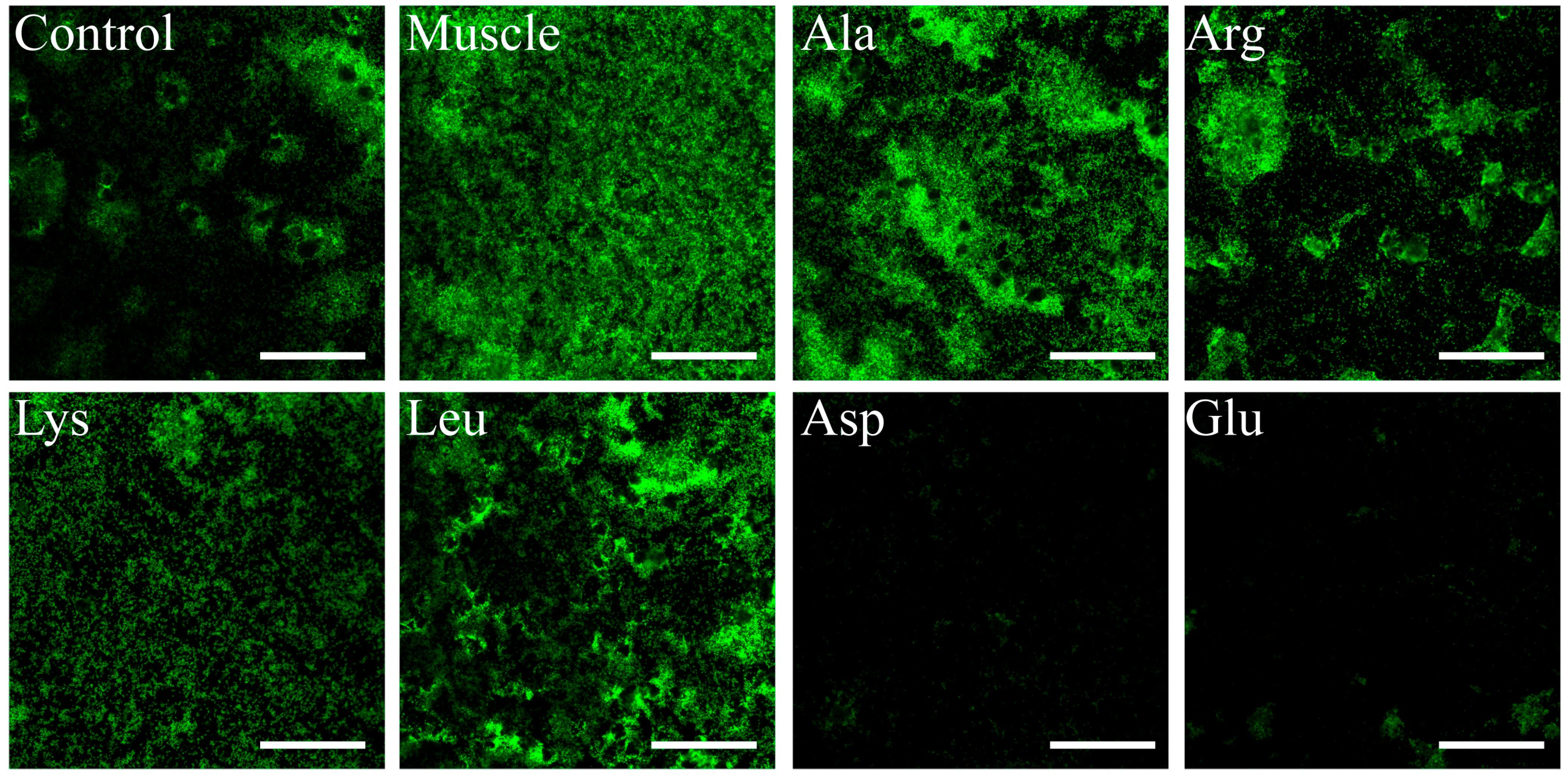 Microorganisms 12 01292 g009