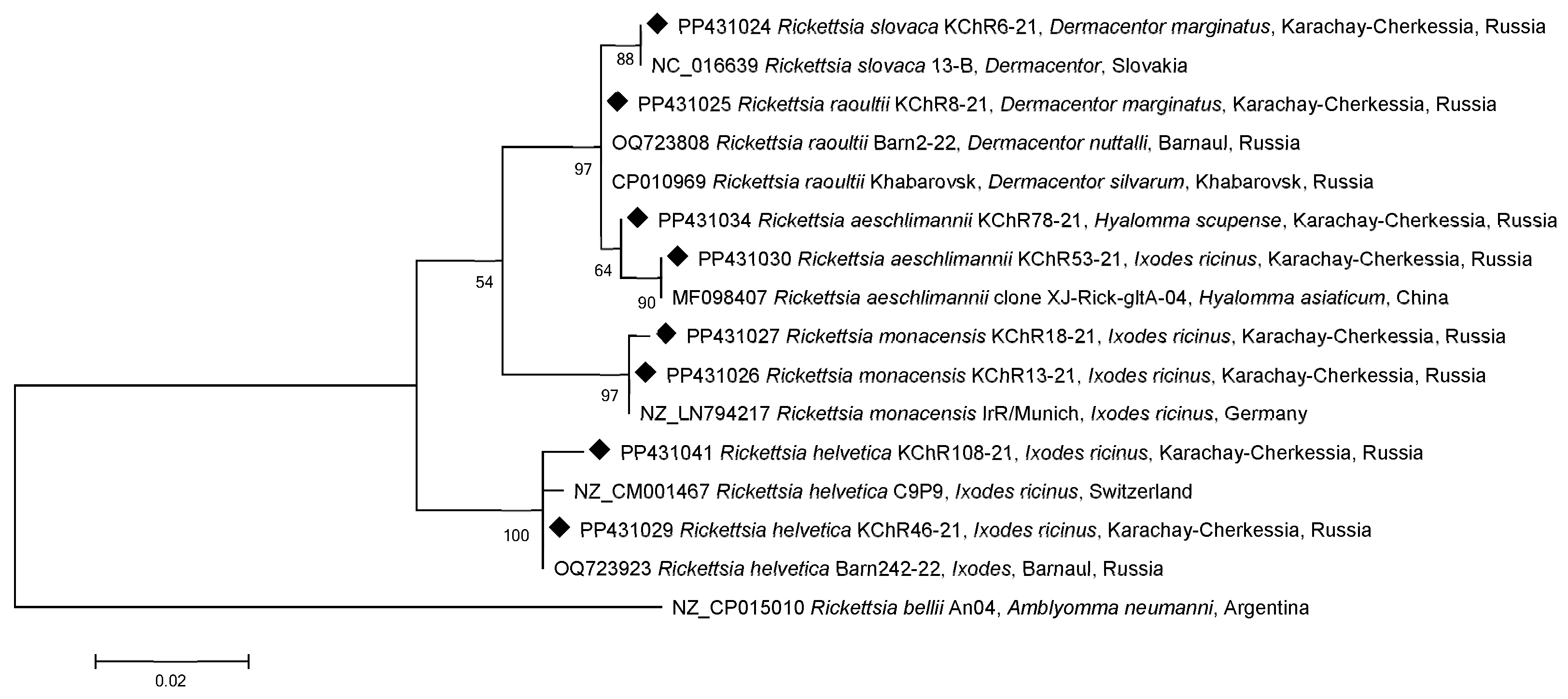Microorganisms 12 01293 g002