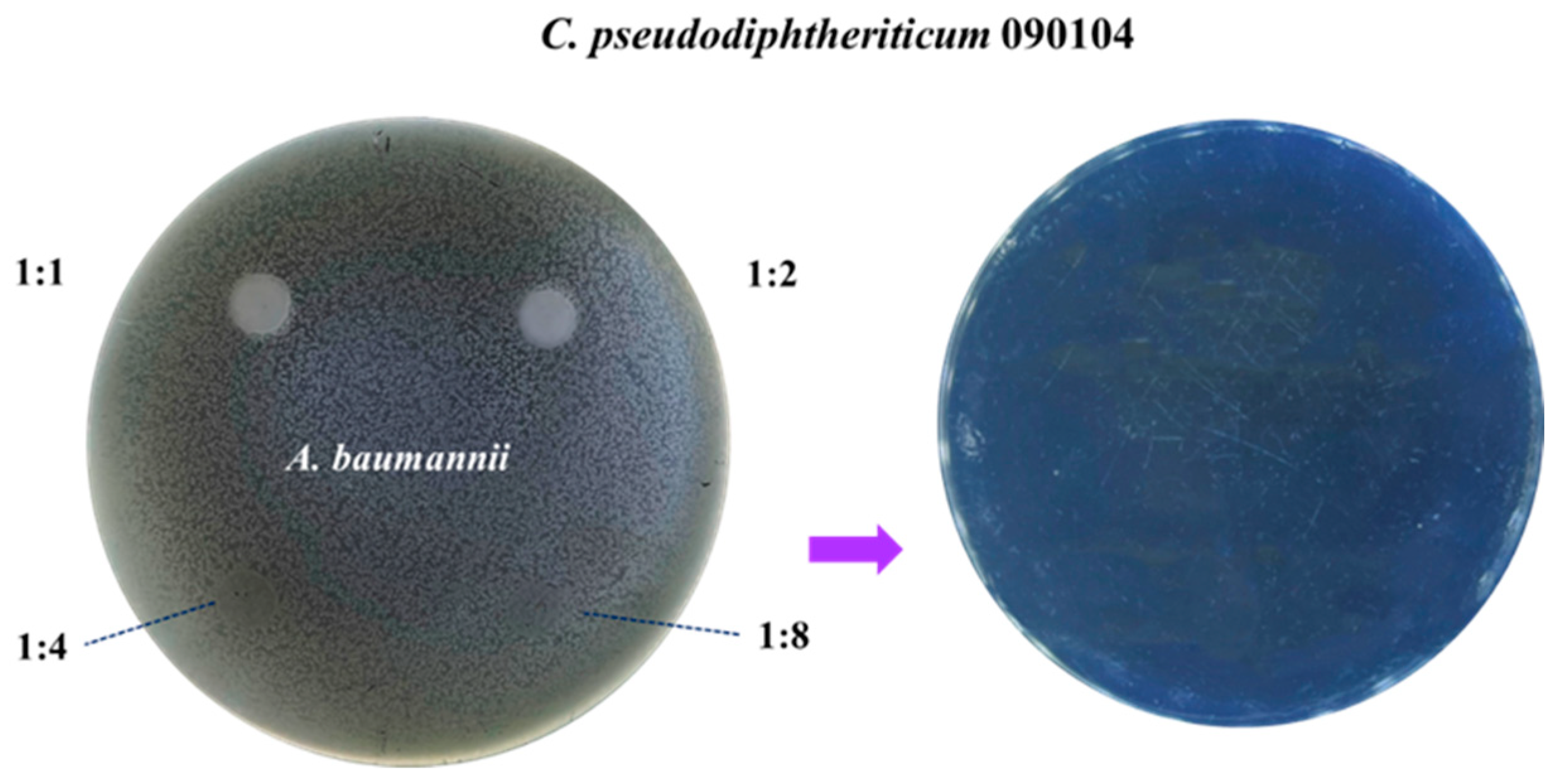 Microorganisms 12 01295 g004 Microorganisms 12 01295 g004