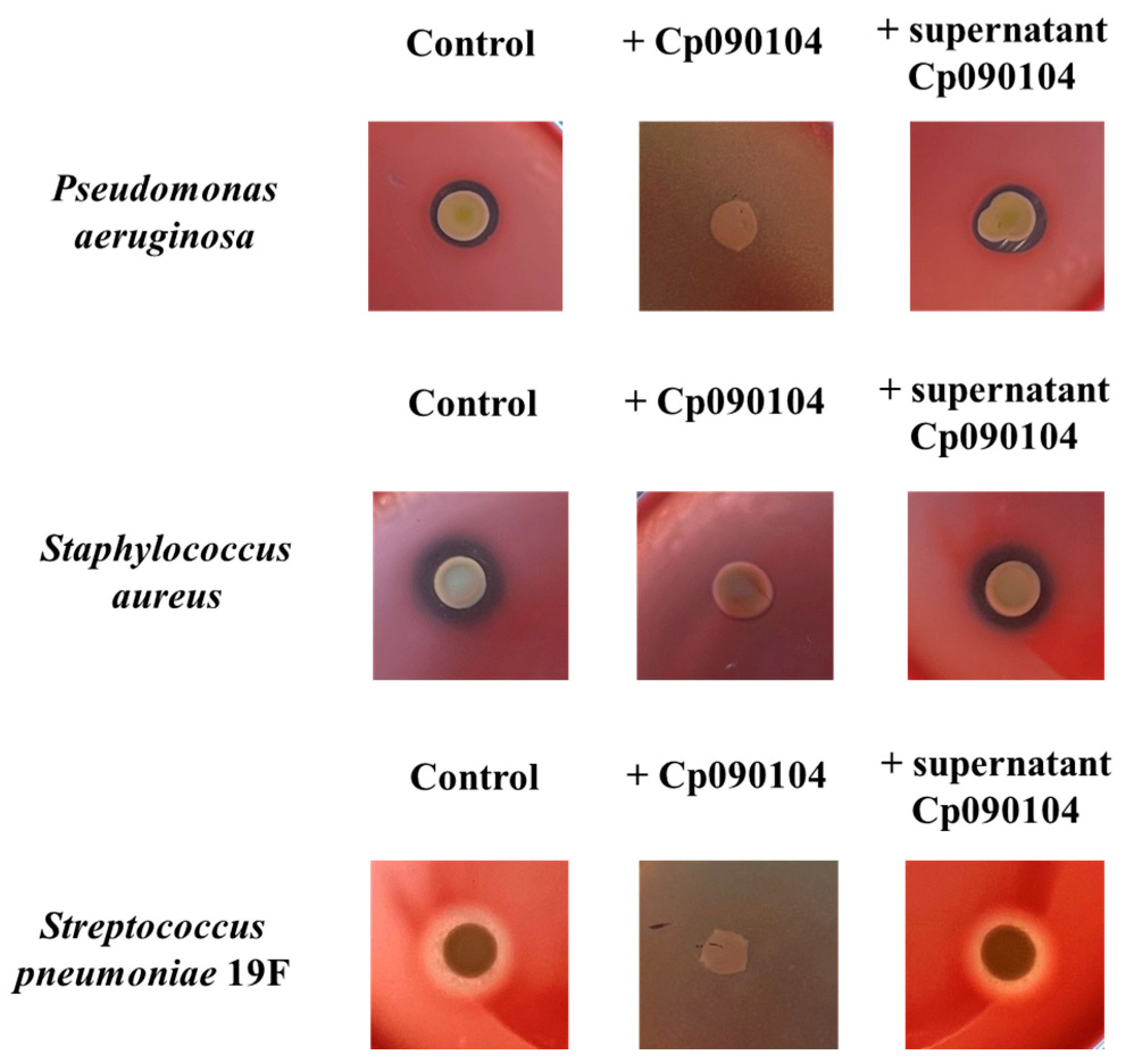 Microorganisms 12 01295 g007 Microorganisms 12 01295 g007