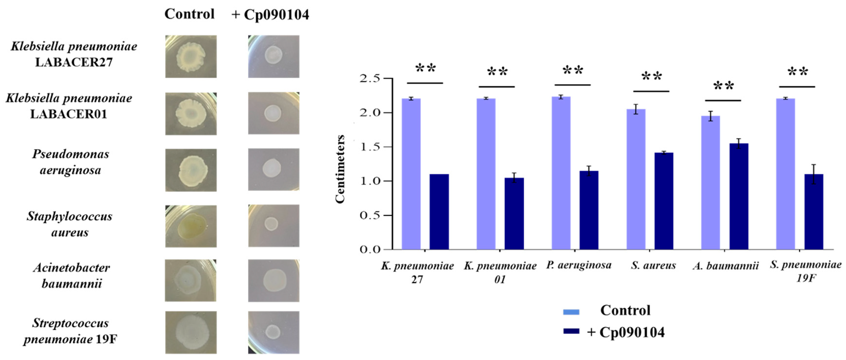 Microorganisms 12 01295 g008 Microorganisms 12 01295 g008