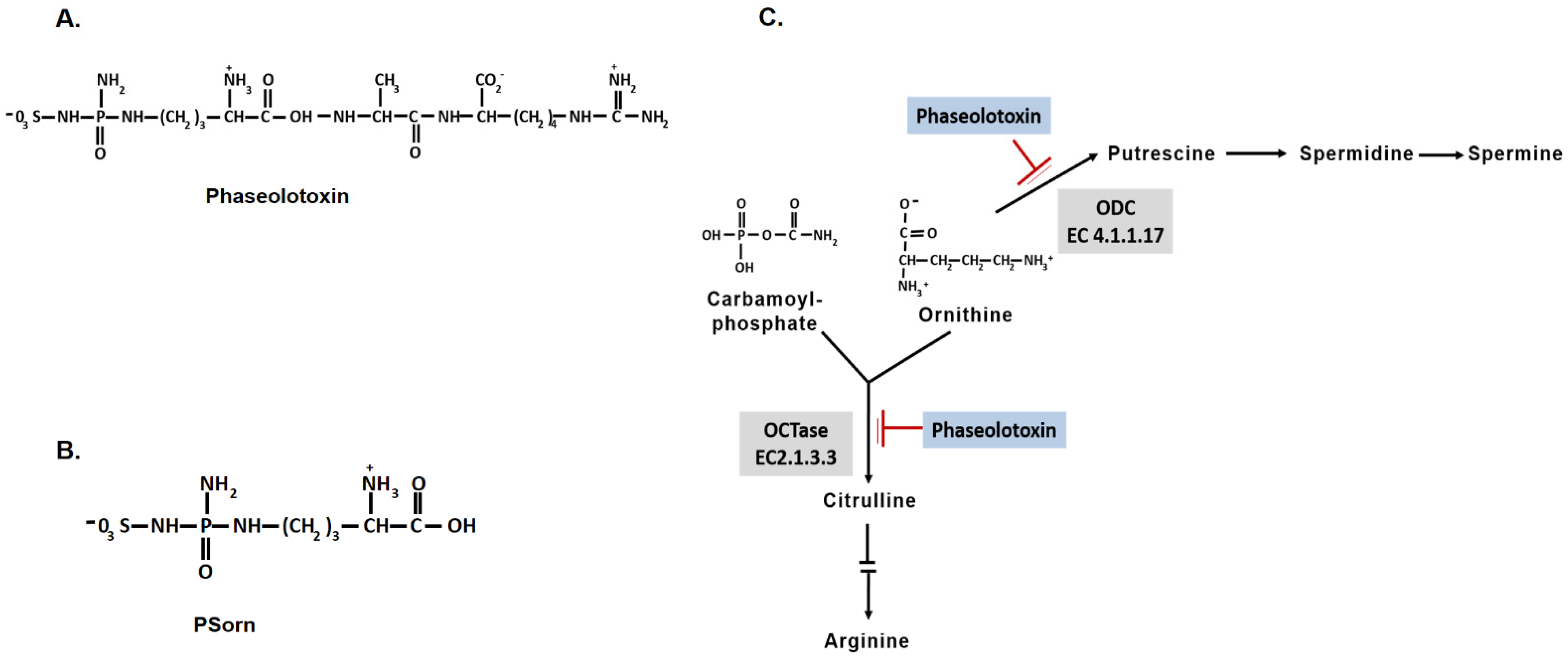 Microorganisms 12 01300 g001