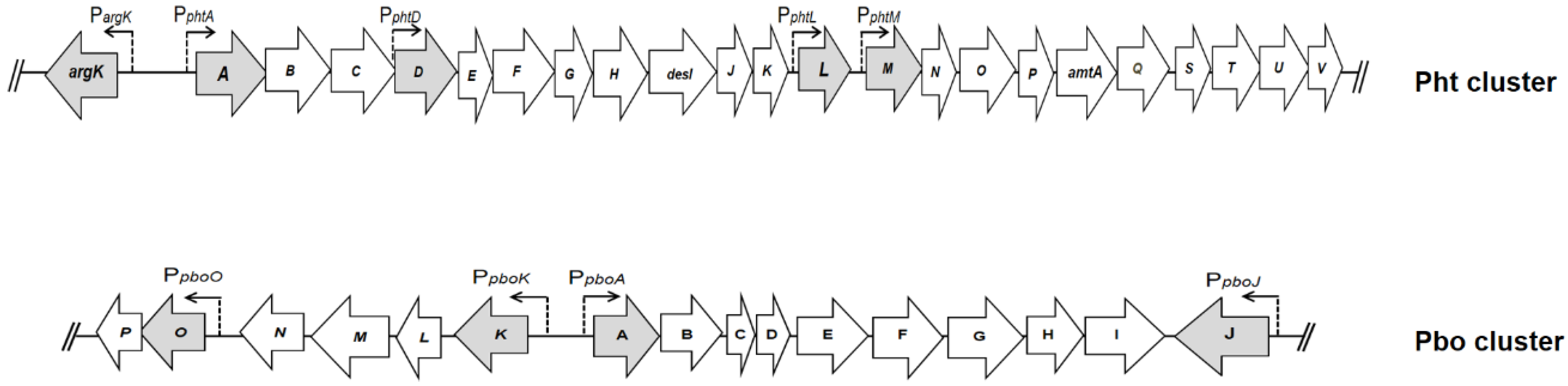 Microorganisms 12 01300 g002