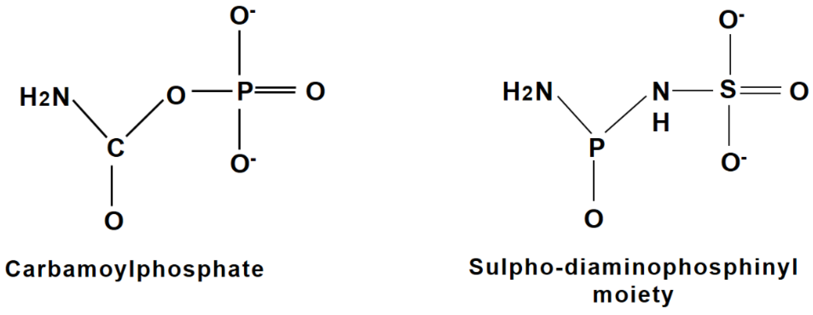 Microorganisms 12 01300 g003