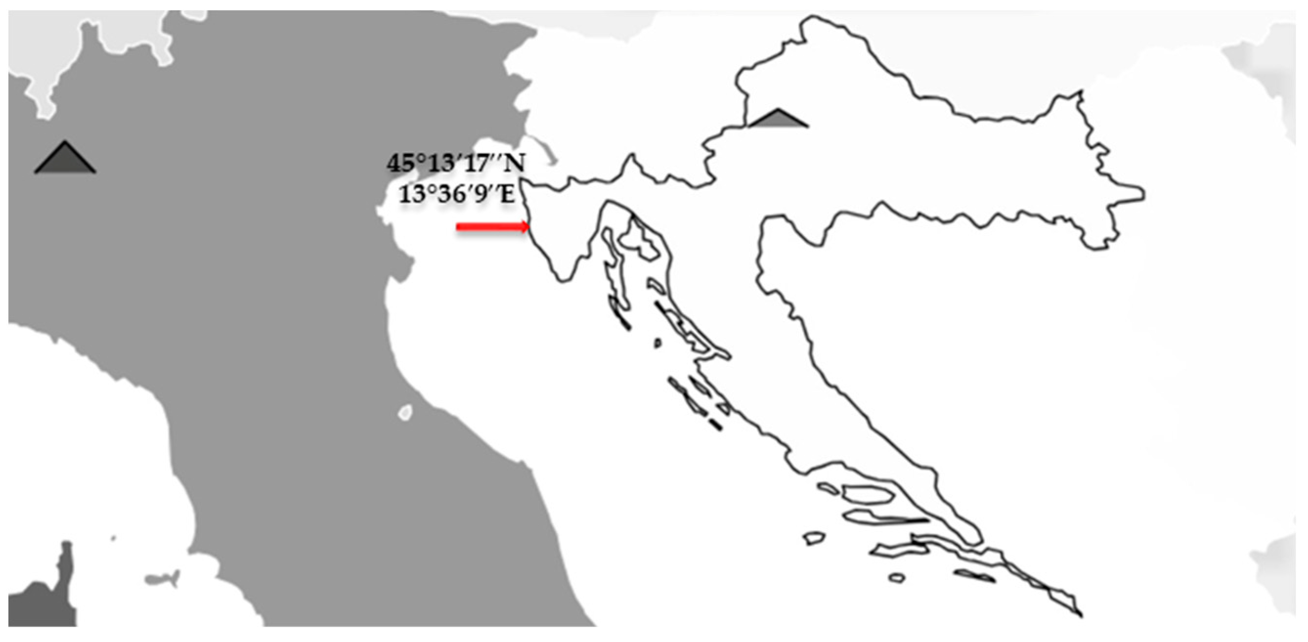 Microorganisms 12 01301 g001