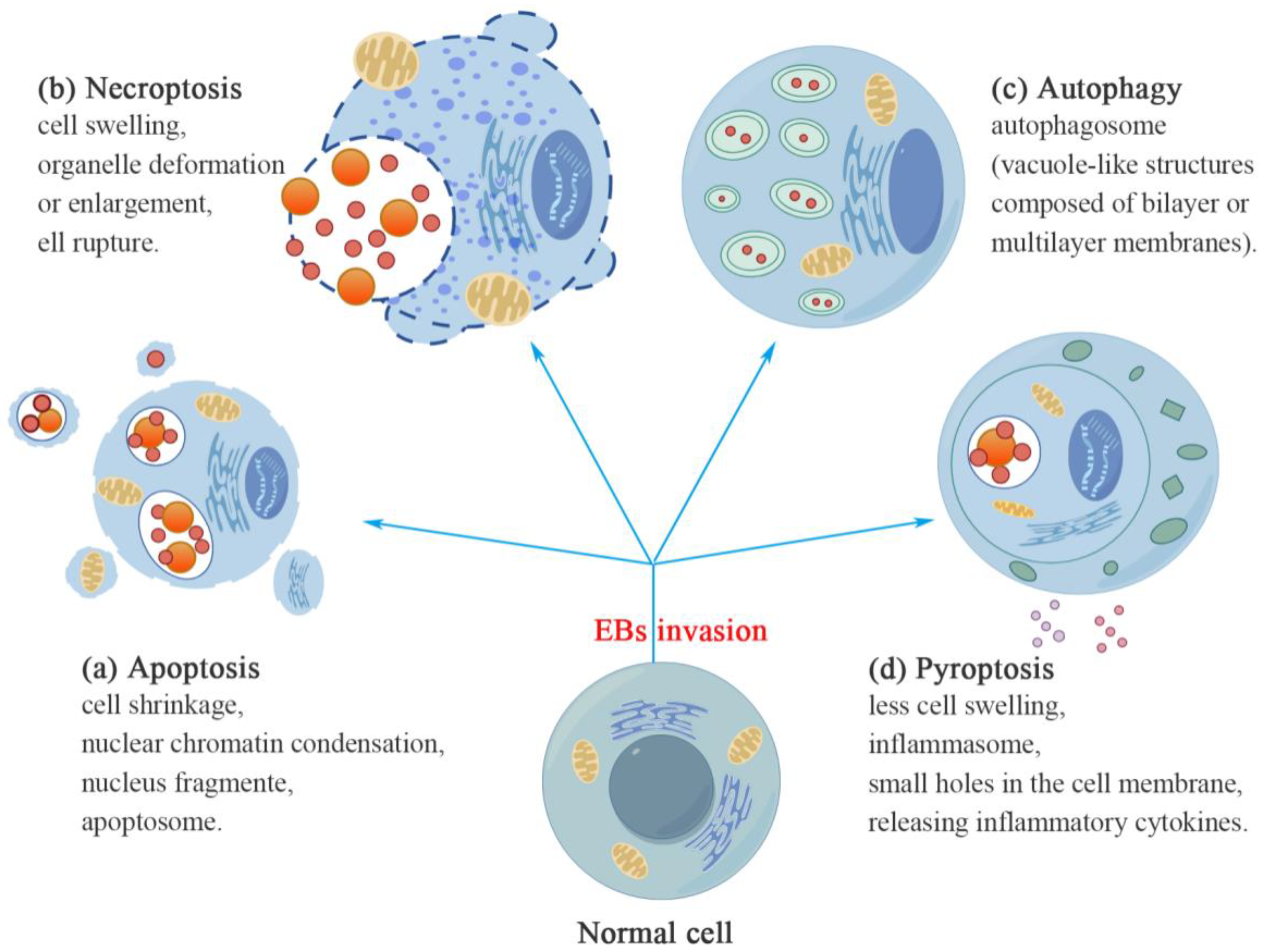 Microorganisms 12 01302 g002