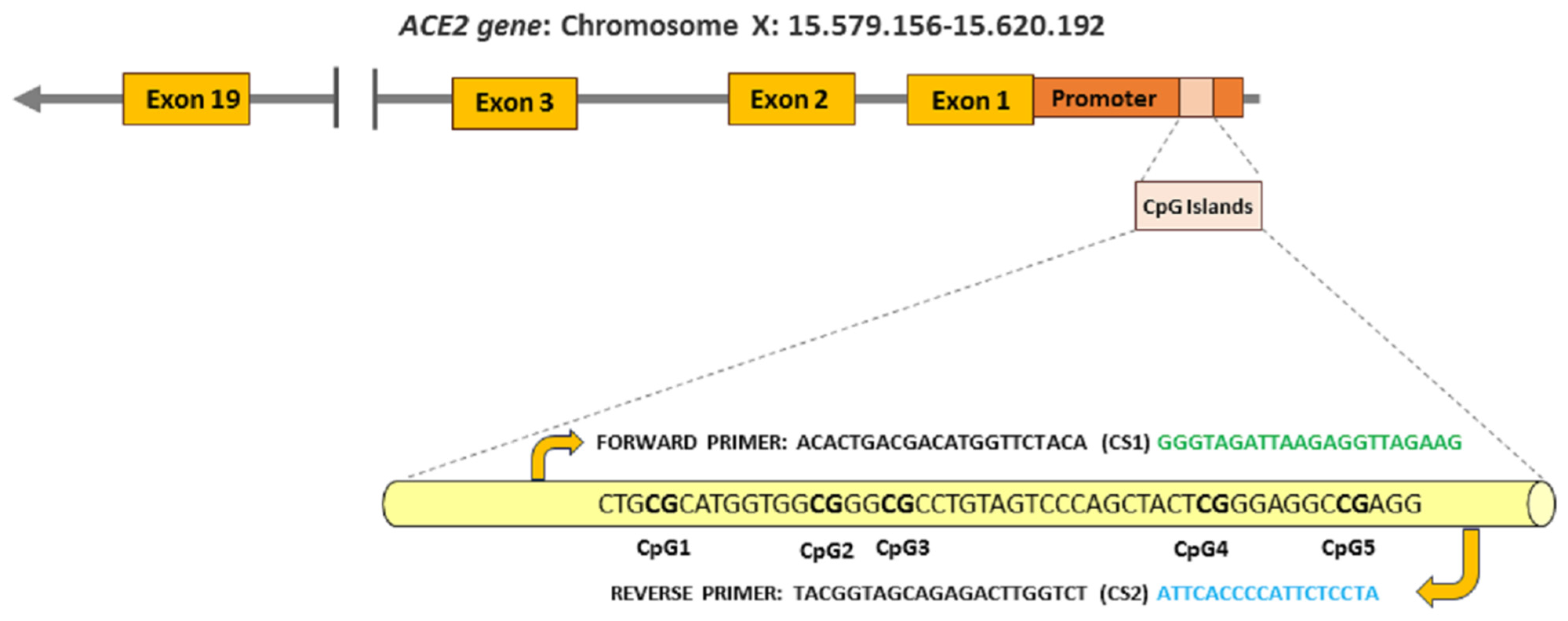 Microorganisms 12 01304 g001