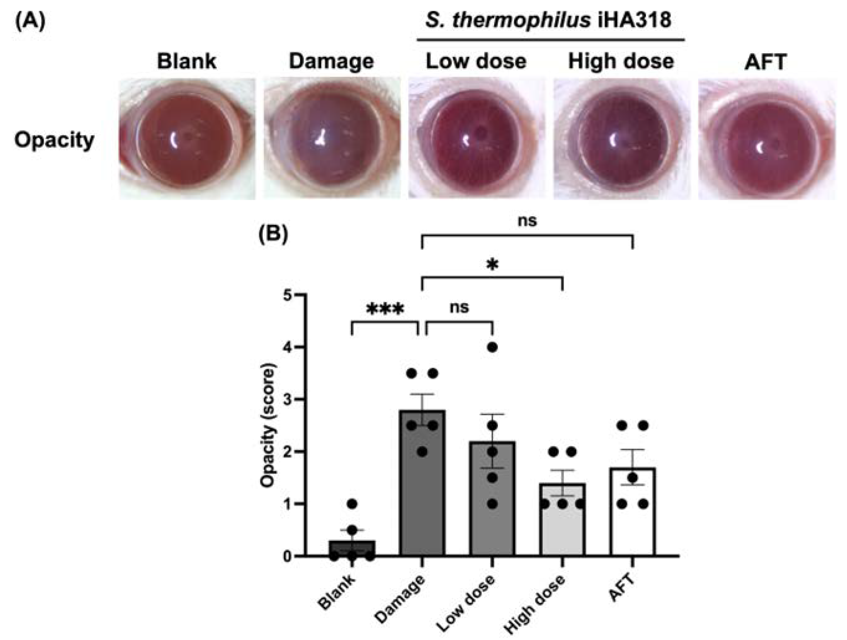 Microorganisms 12 01306 g004 Microorganisms 12 01306 g004