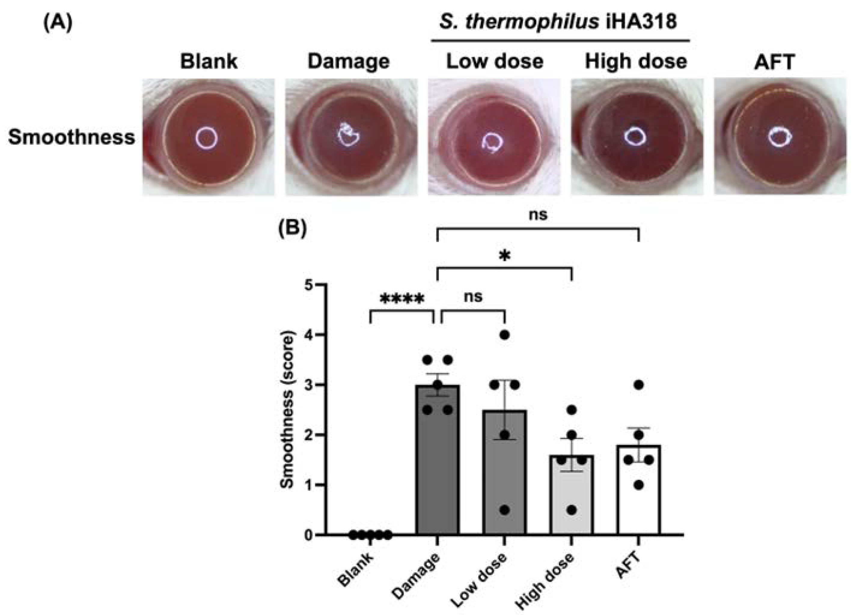 Microorganisms 12 01306 g005 Microorganisms 12 01306 g005