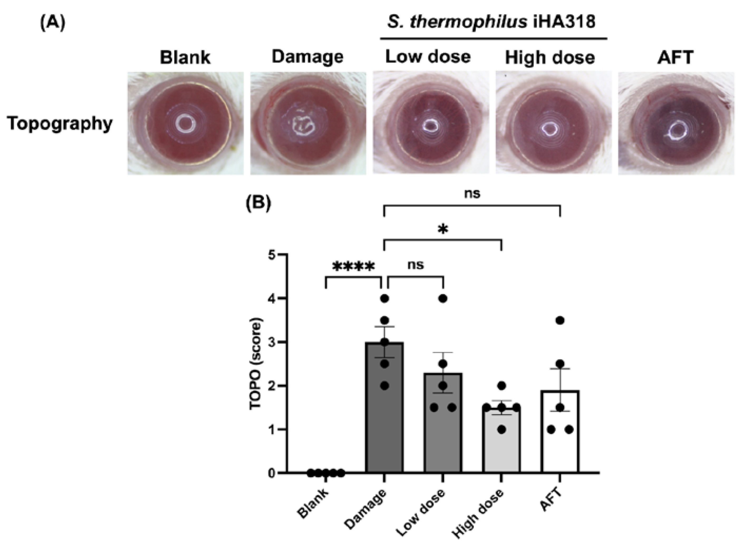 Microorganisms 12 01306 g006 Microorganisms 12 01306 g006