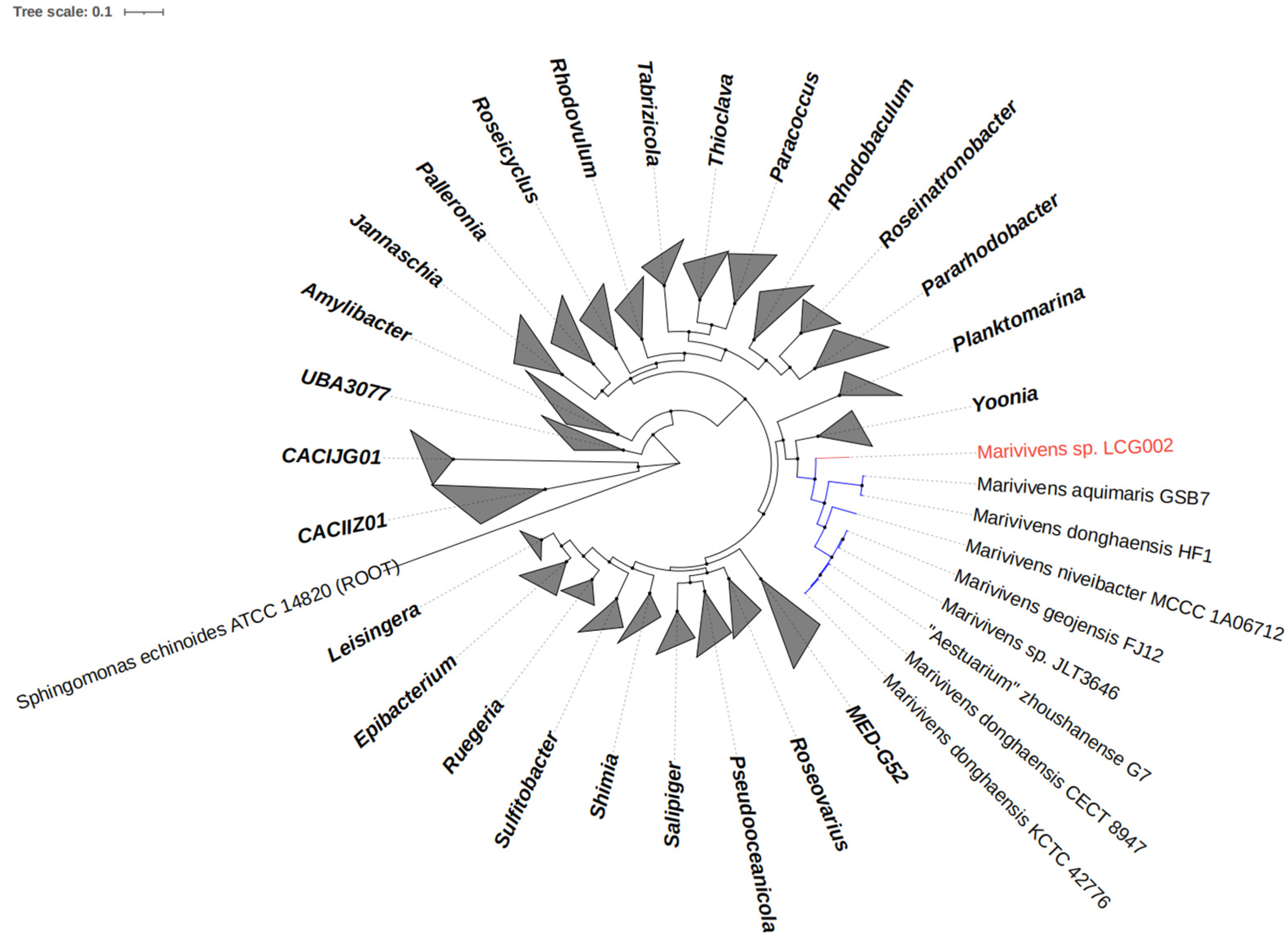 Microorganisms 12 01308 g001