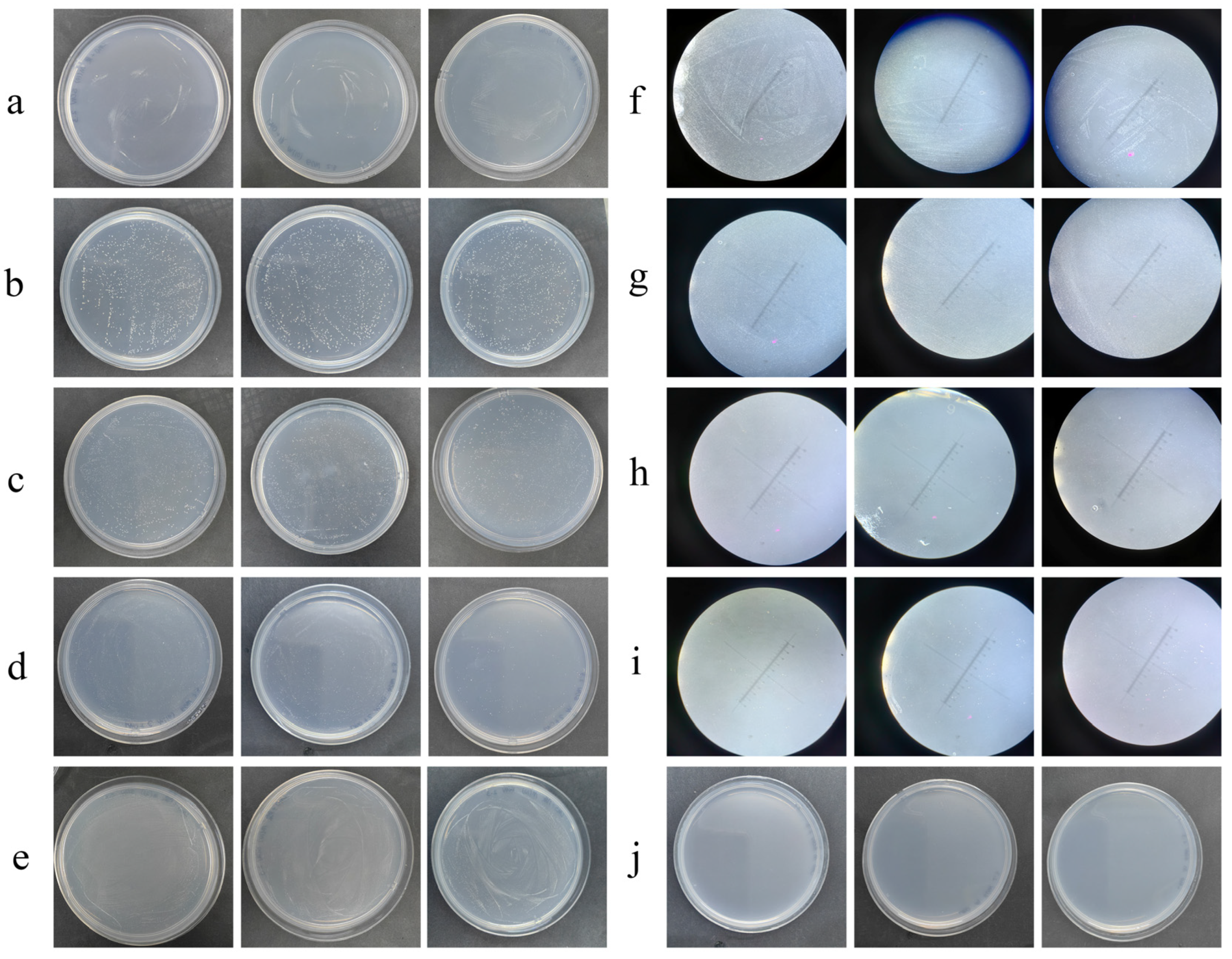 Microorganisms 12 01308 g003