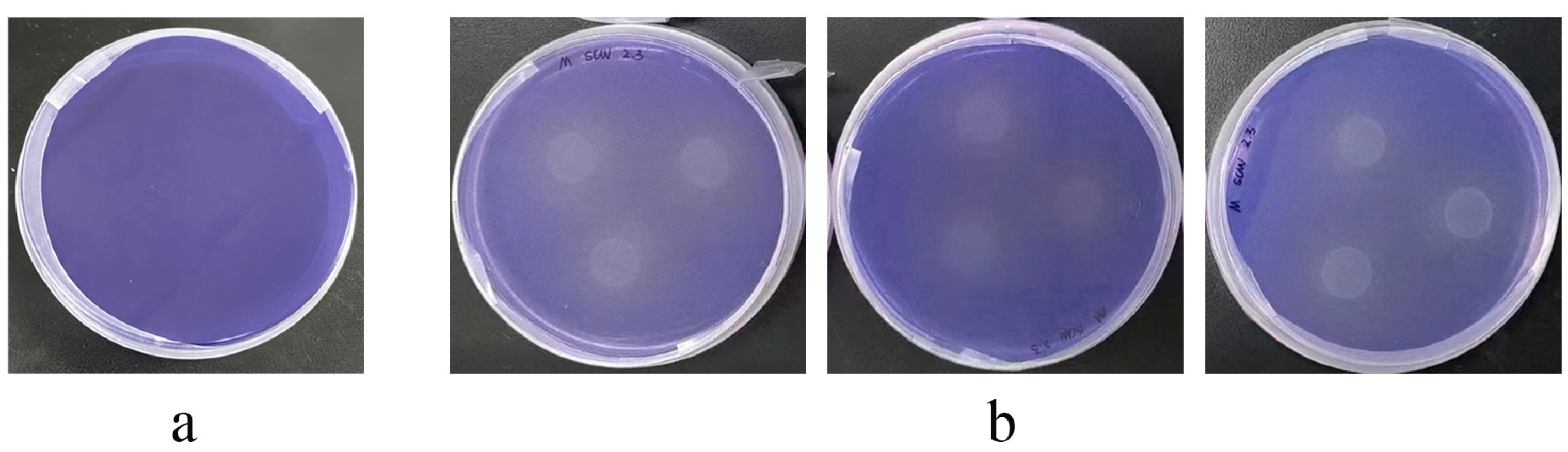 Microorganisms 12 01308 g004