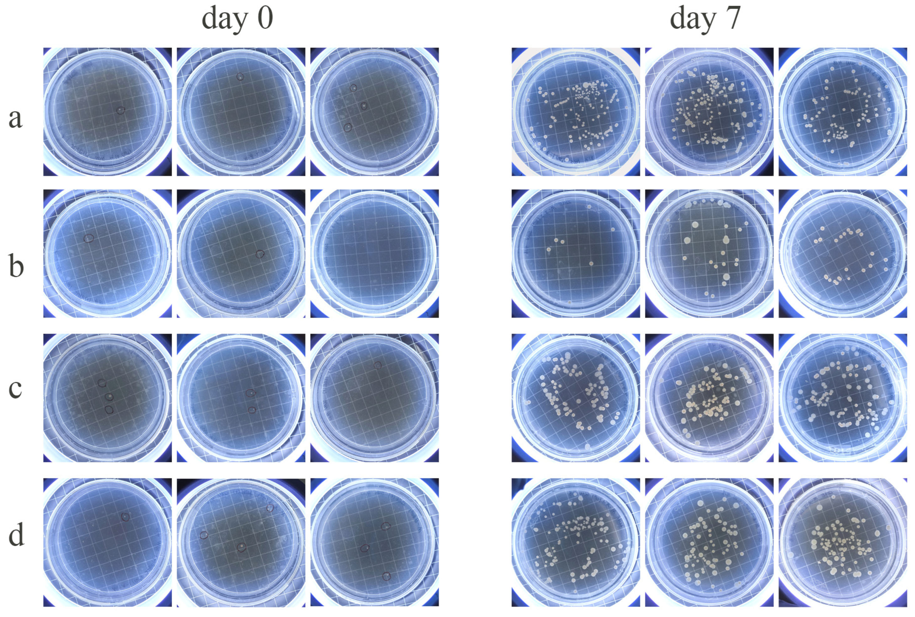 Microorganisms 12 01308 g005