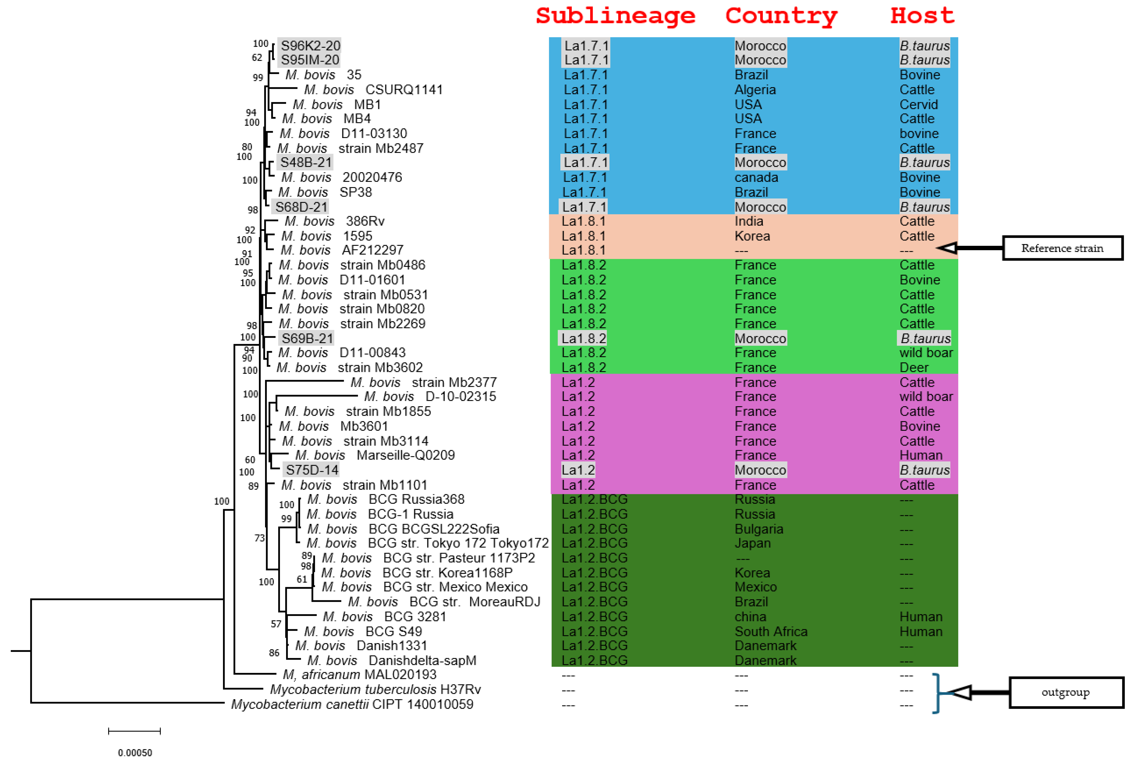 Microorganisms 12 01316 g001